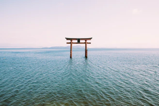 a tori tori floating in the middle of a body of water