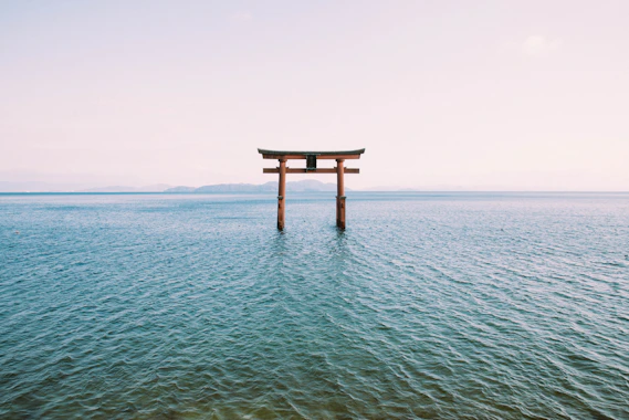 a tori tori floating in the middle of a body of water