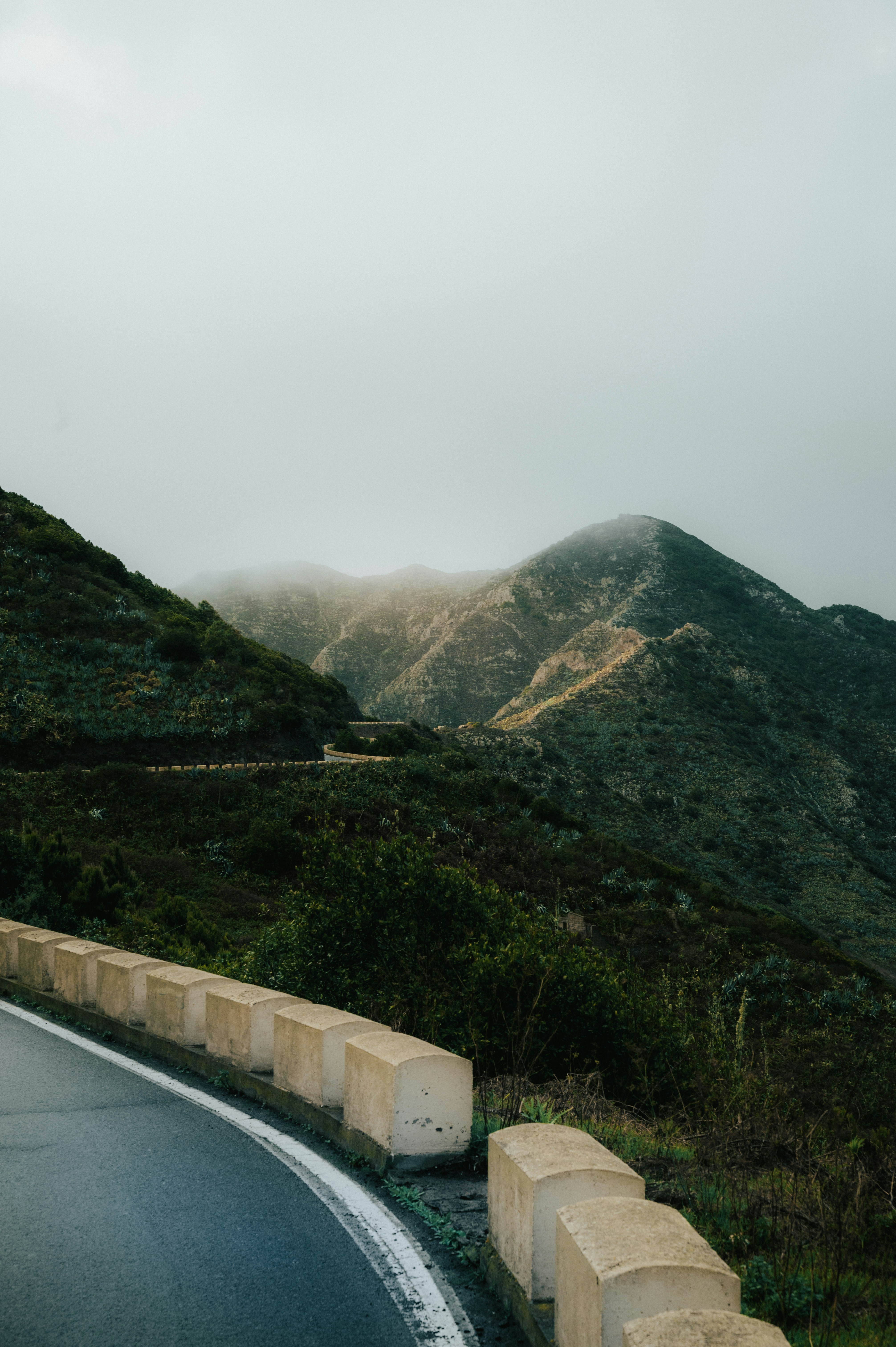 Photo by tamas_tuzeskatai