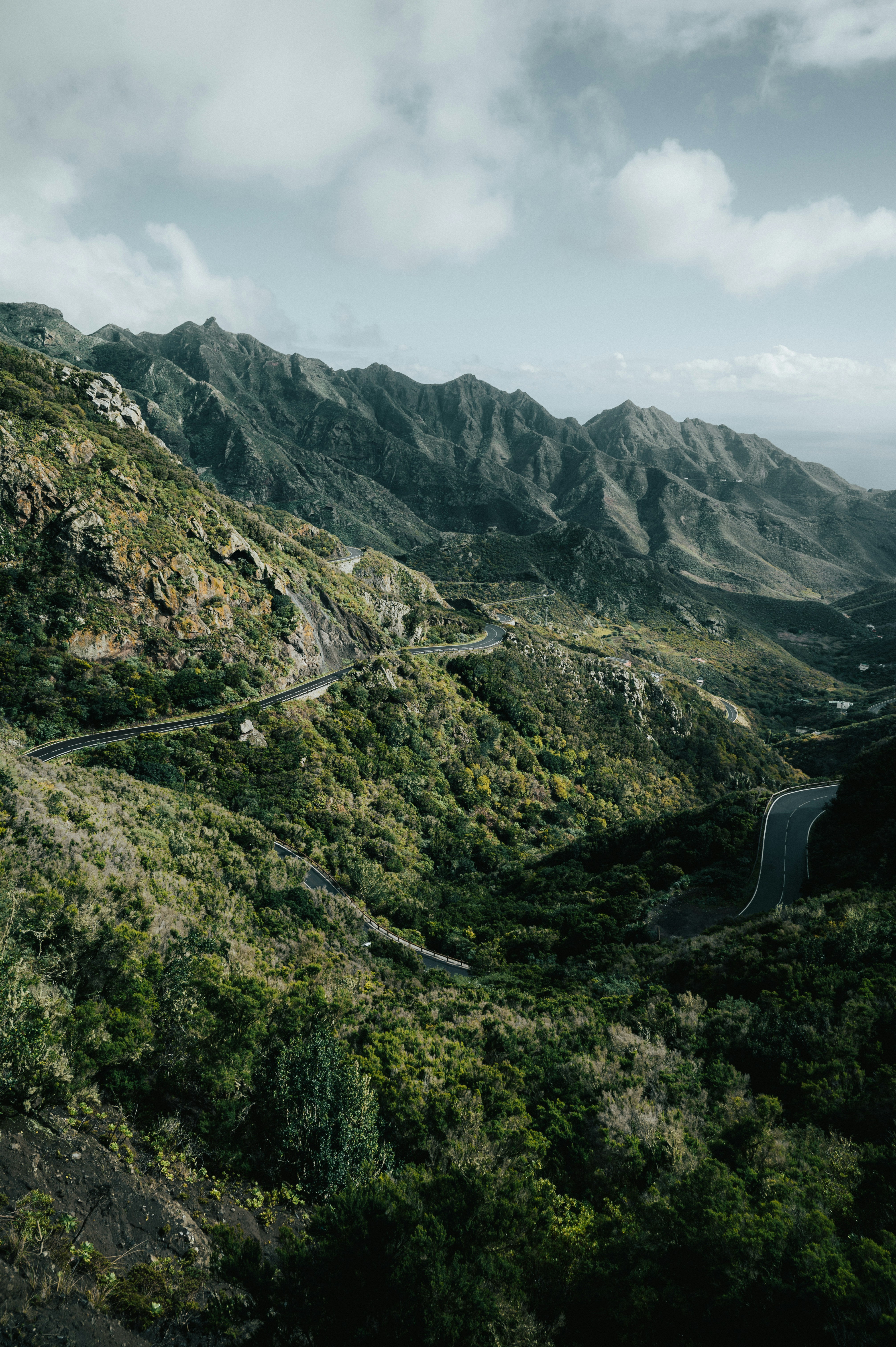 Photo by tamas_tuzeskatai