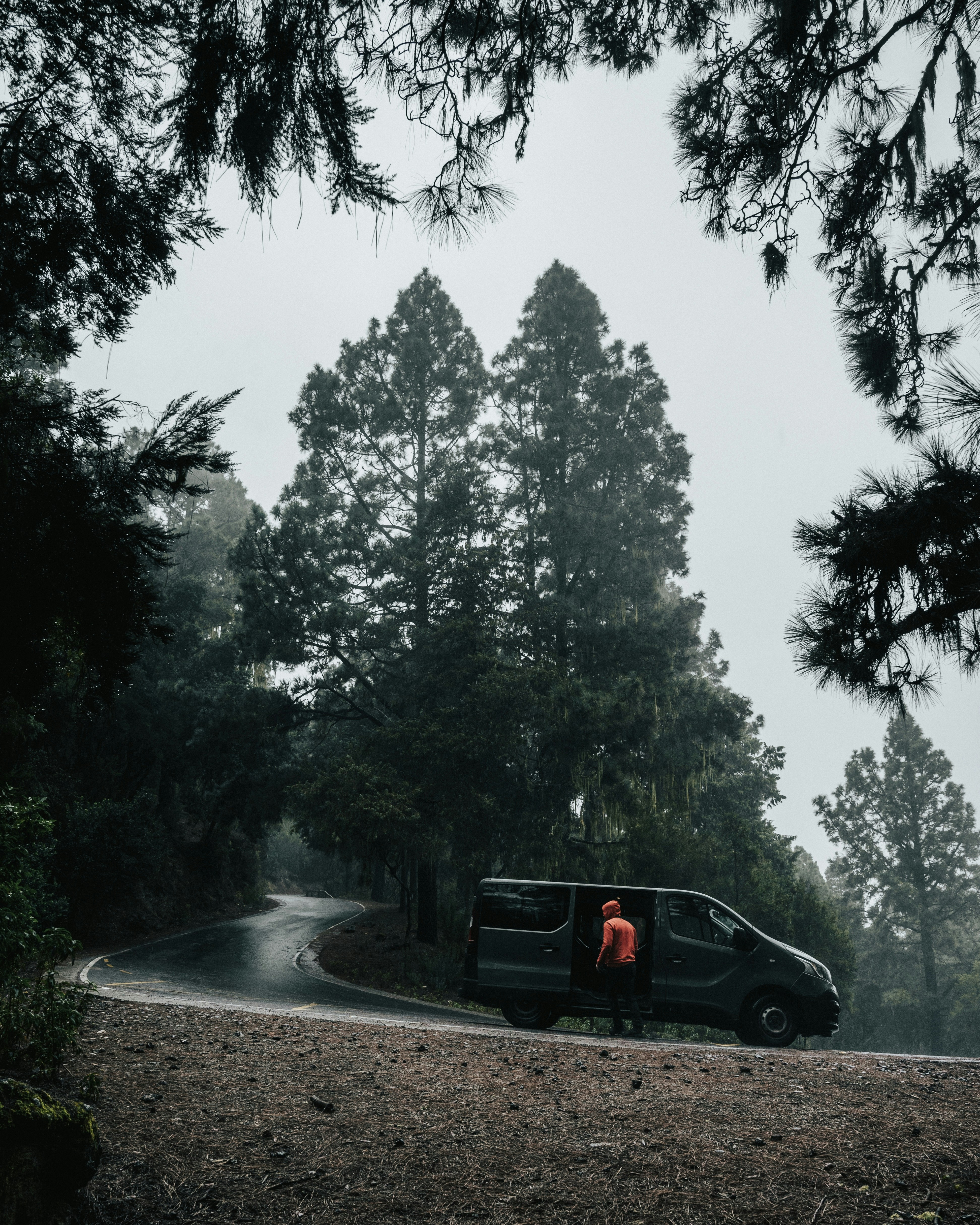 Photo by tamas_tuzeskatai