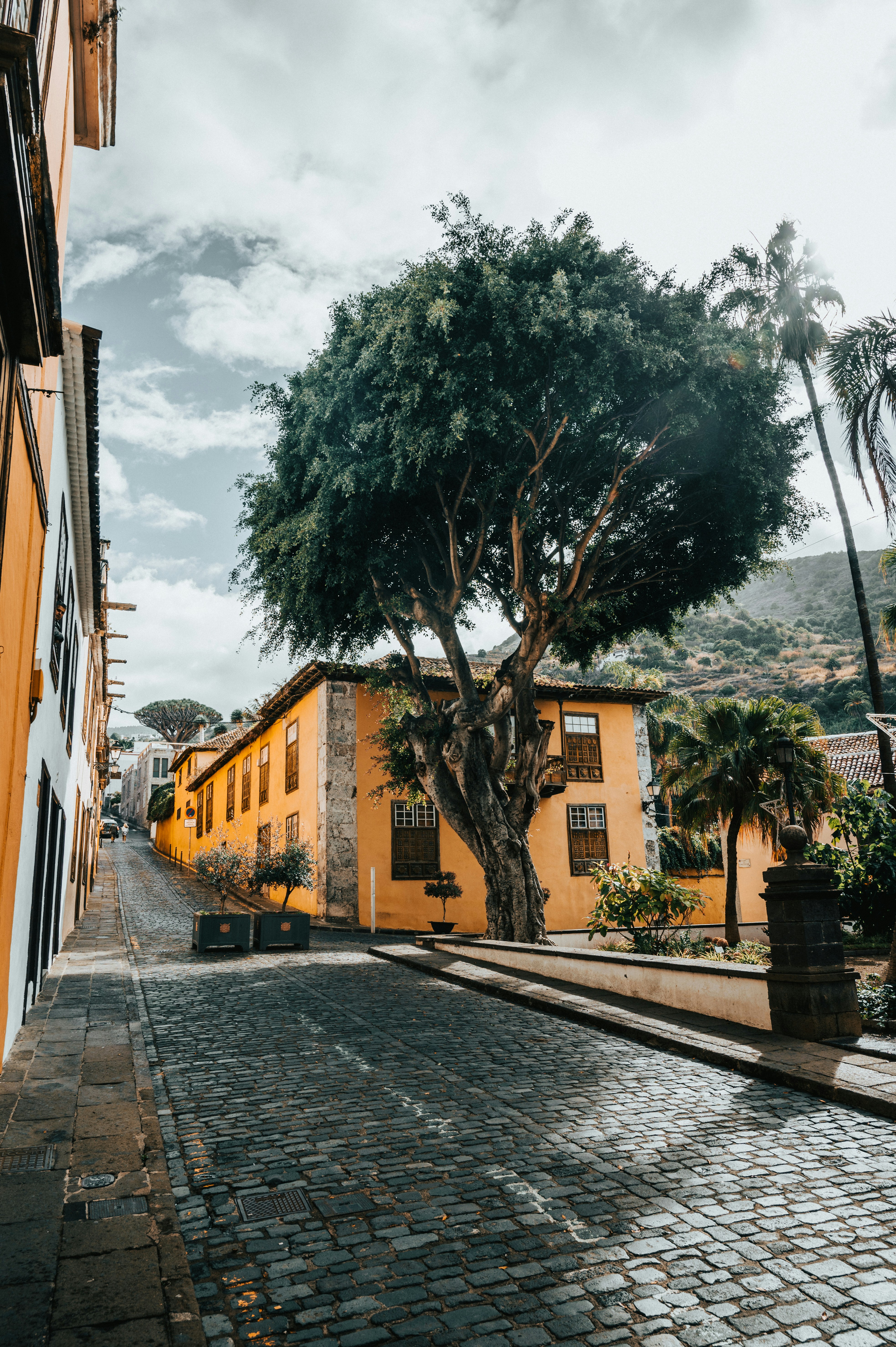 Photo by tamas_tuzeskatai