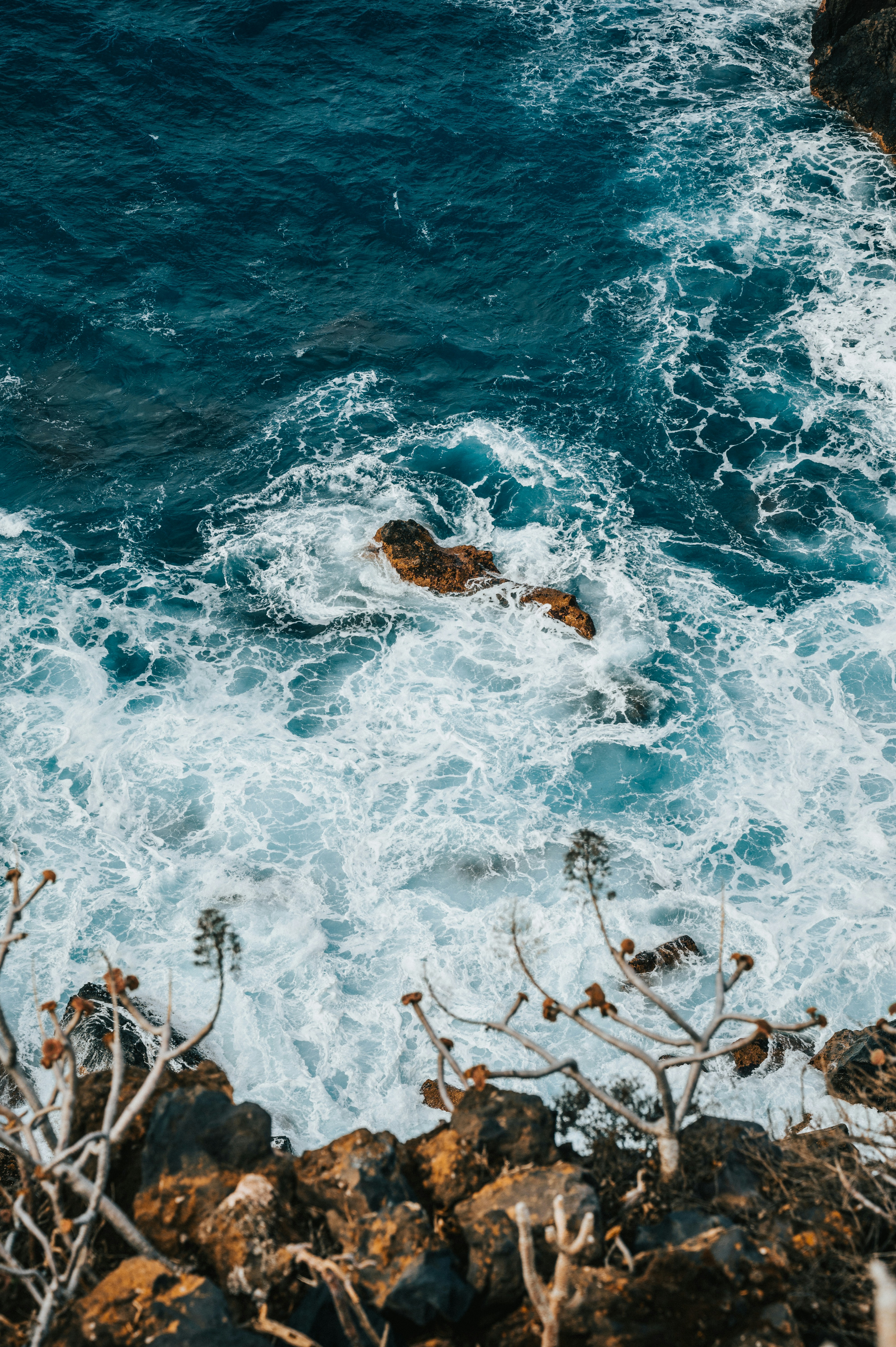 Photo by tamas_tuzeskatai