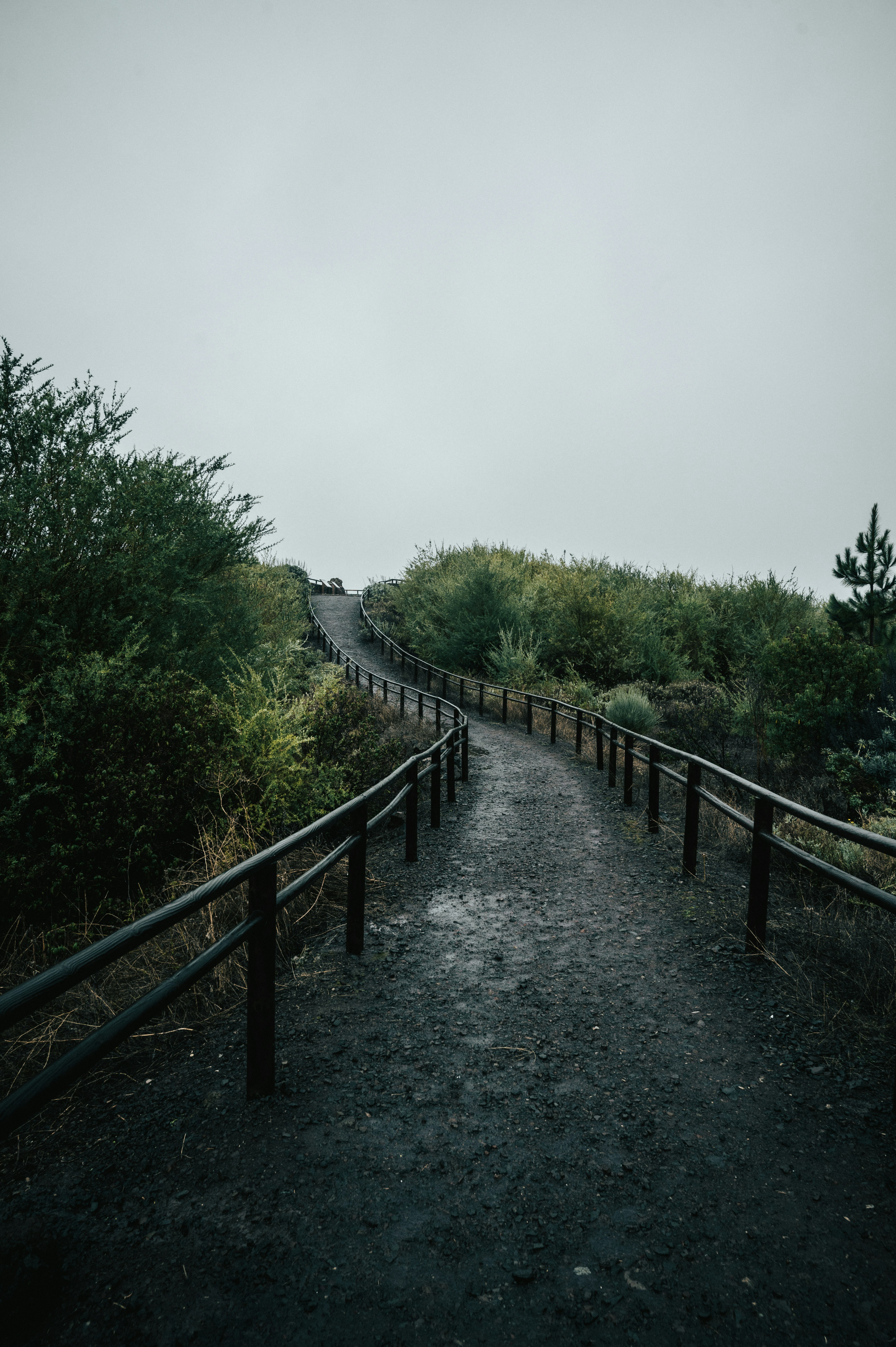 Photo by tamas_tuzeskatai