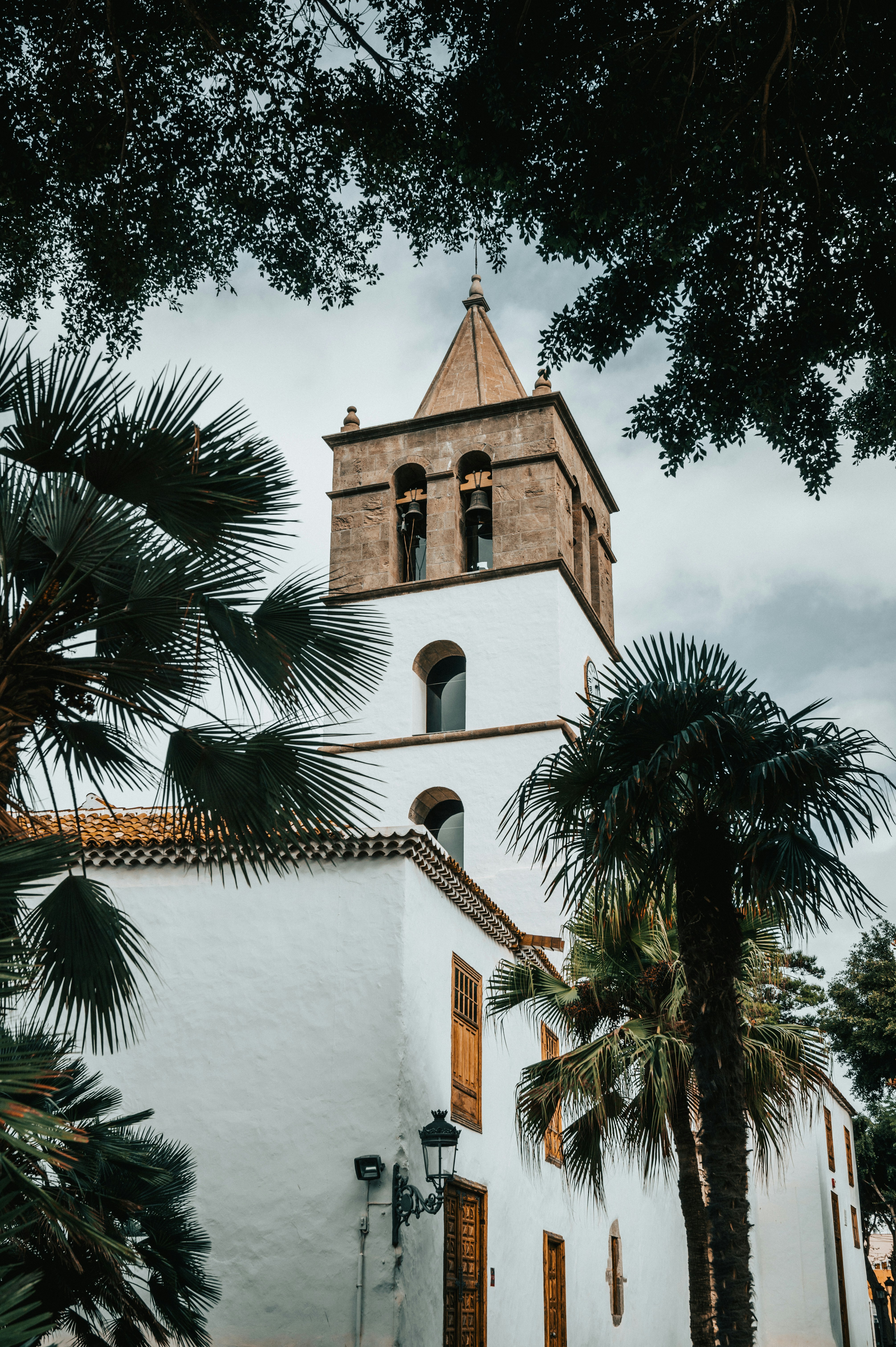 Photo by tamas_tuzeskatai