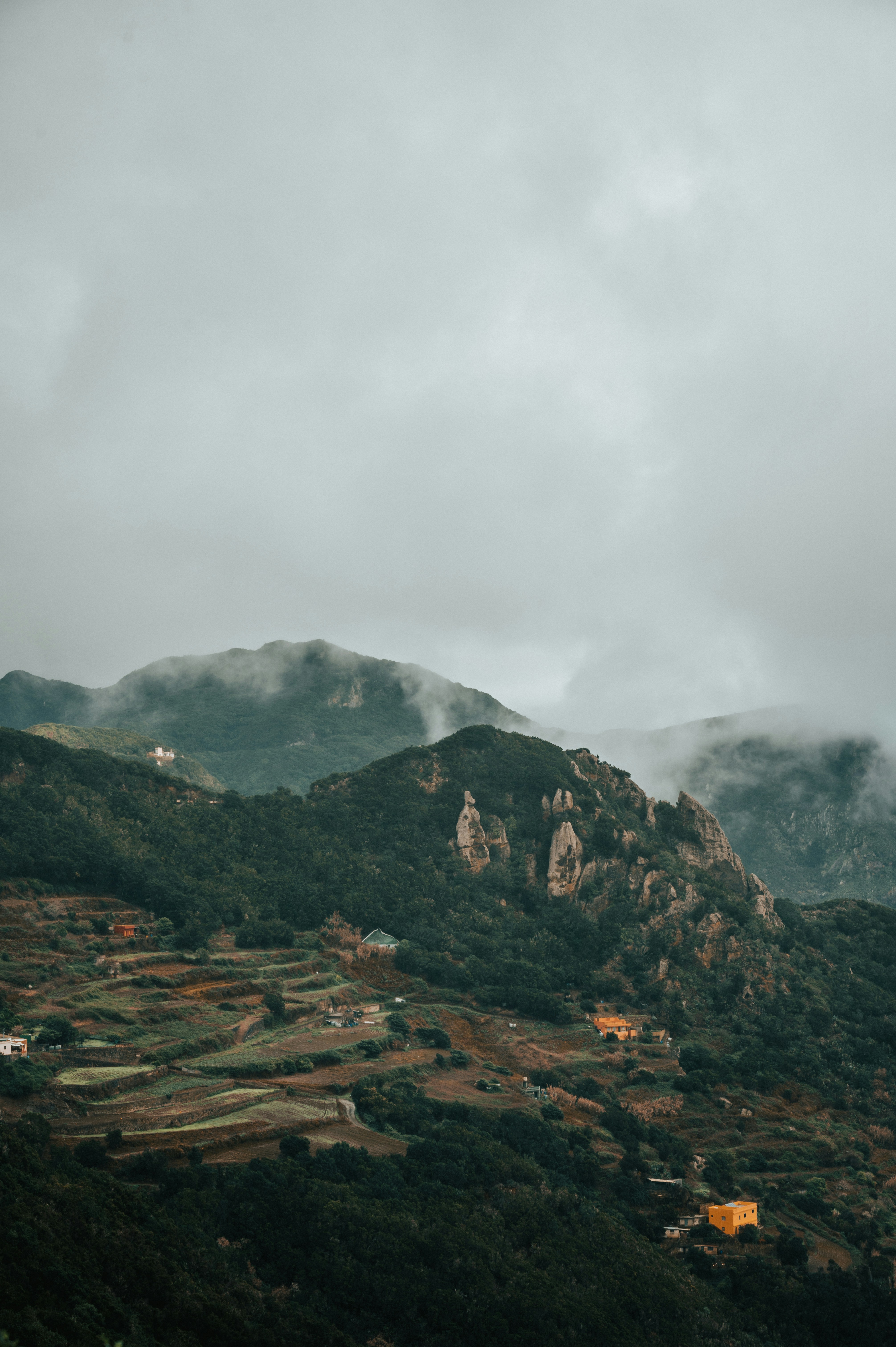 Photo by tamas_tuzeskatai