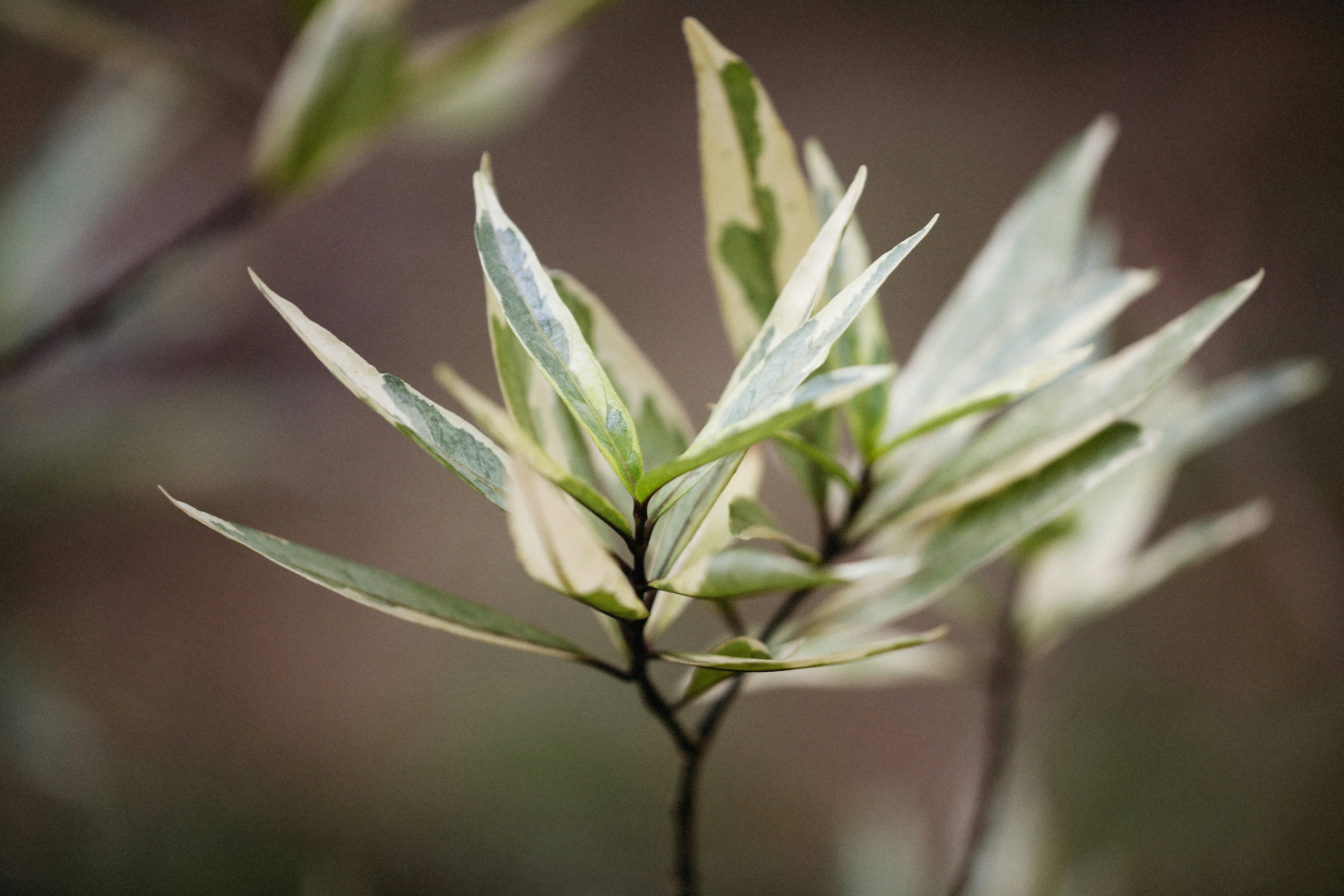 Photo by alexeydemidov