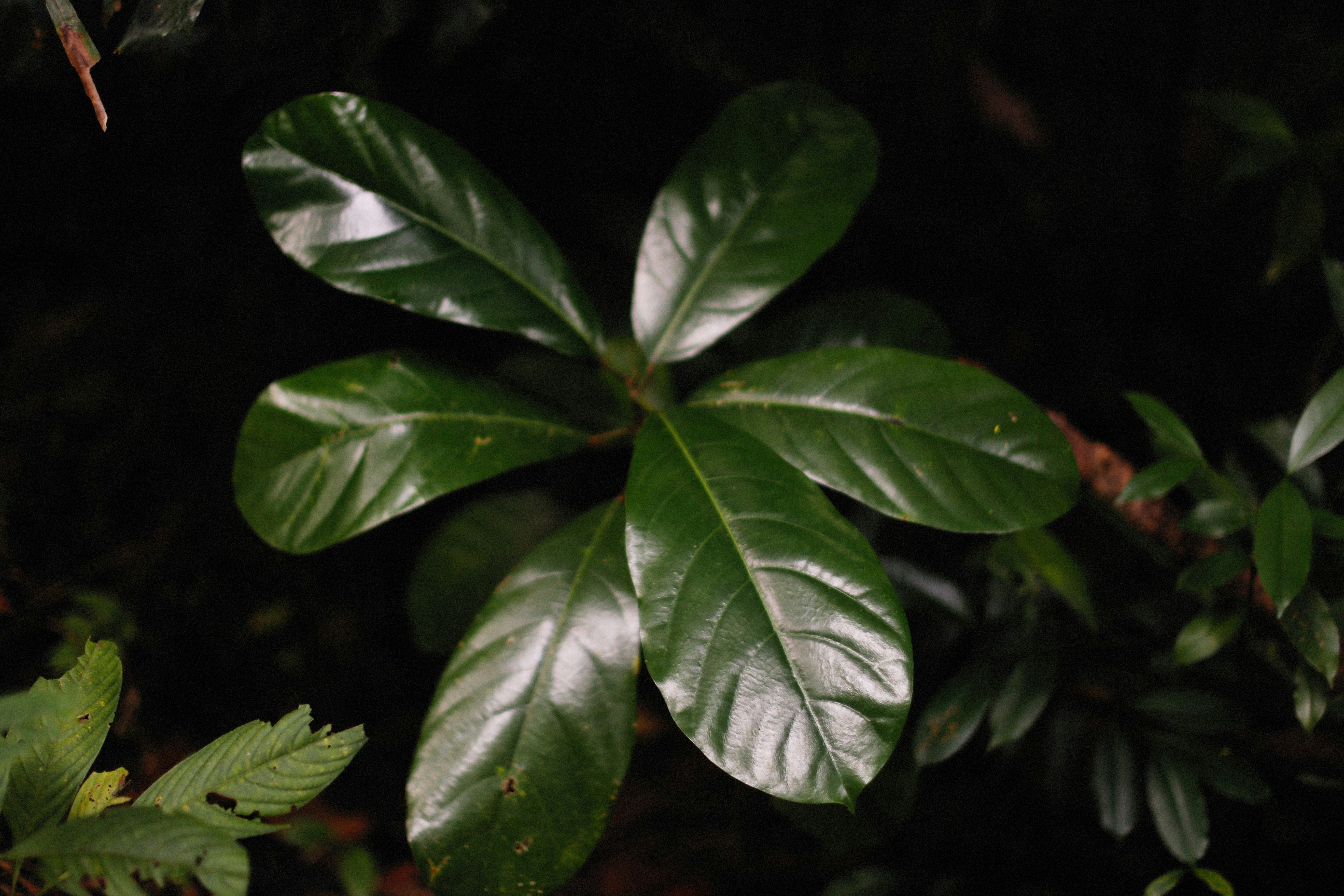 Photo by alexeydemidov