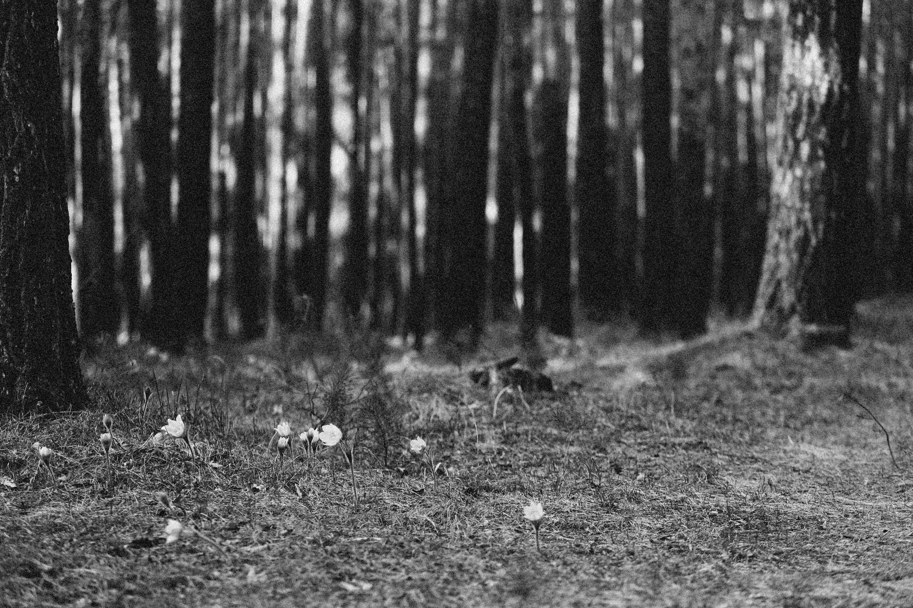 Photo by alexeydemidov