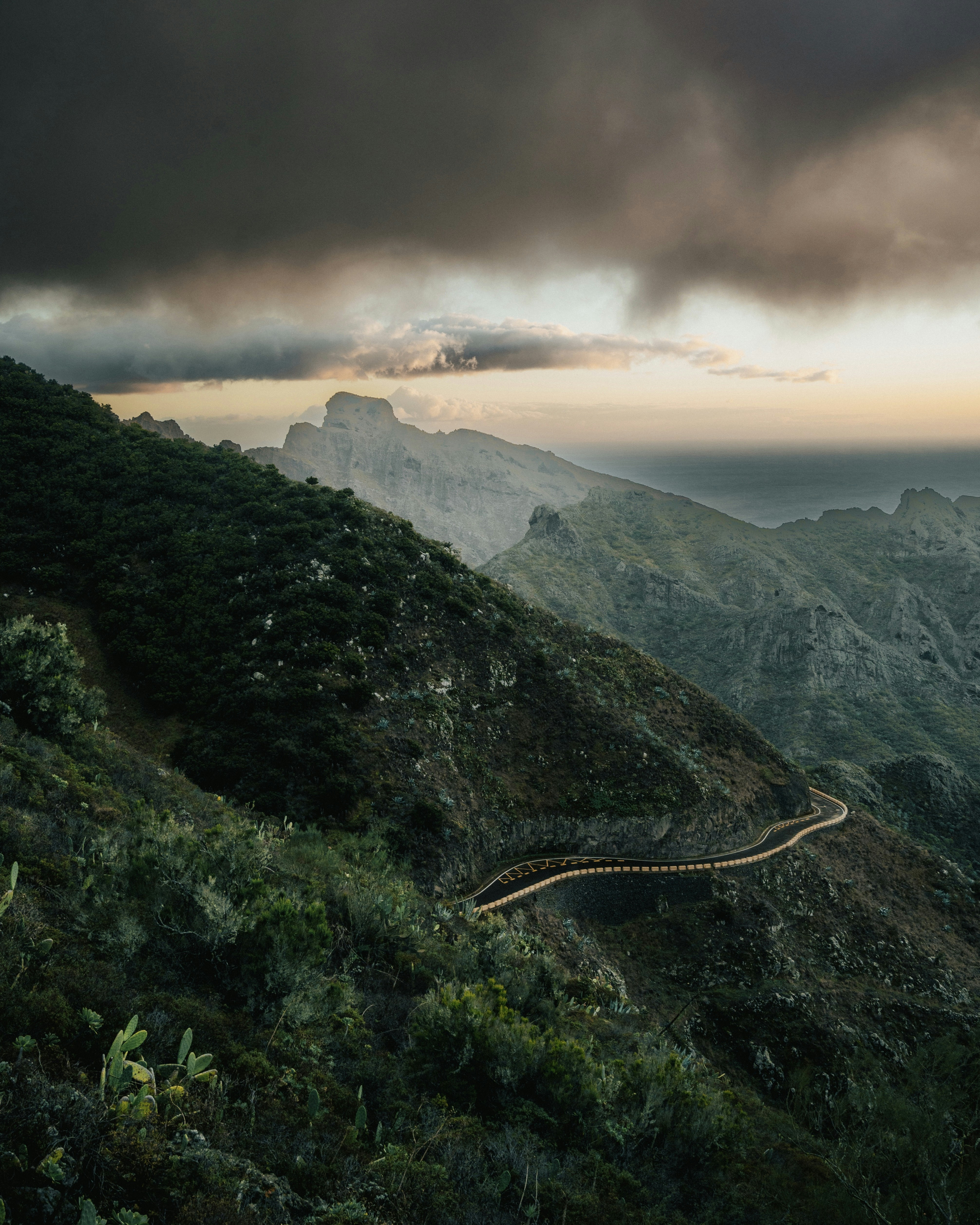 Photo by tamas_tuzeskatai