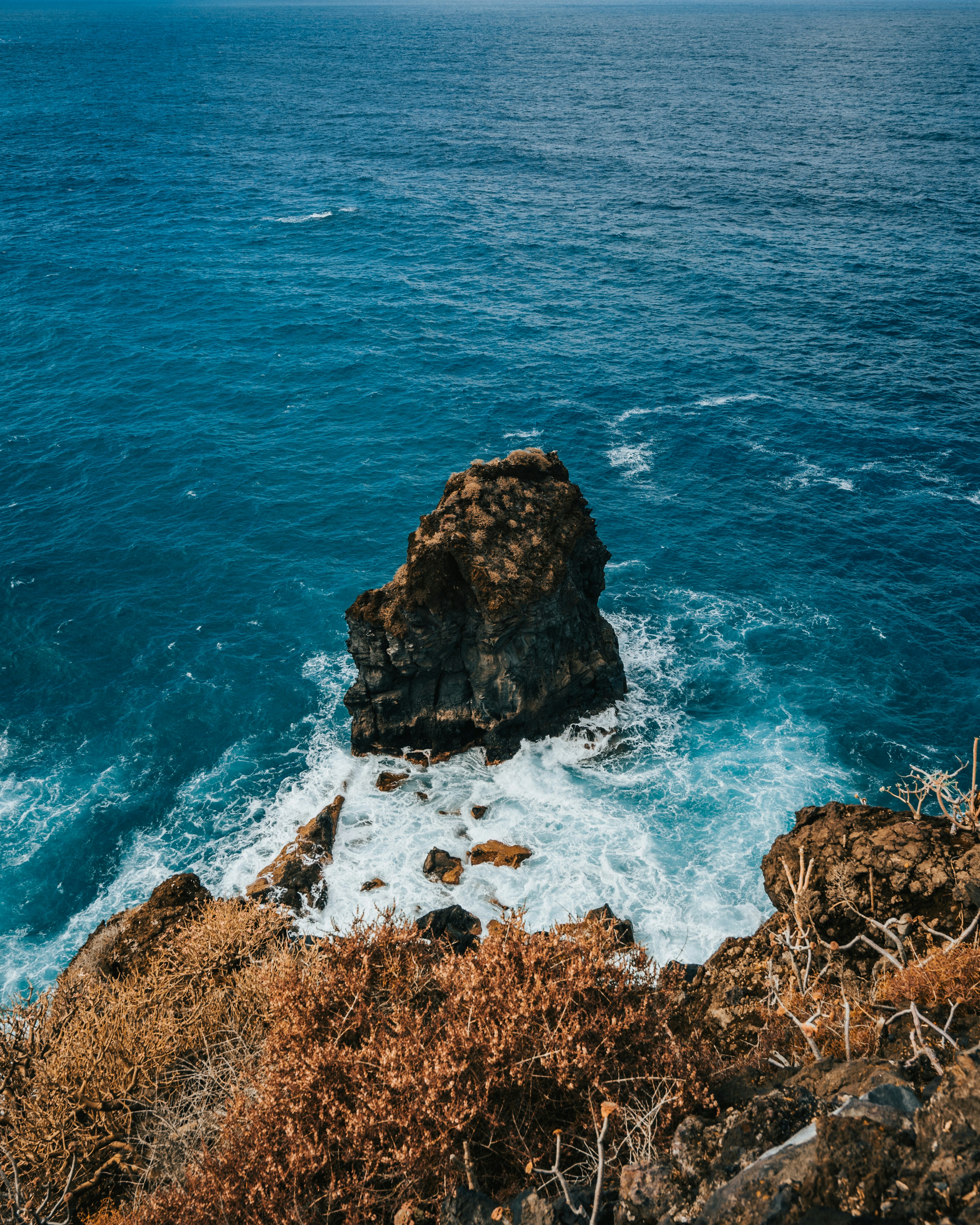 Photo by tamas_tuzeskatai