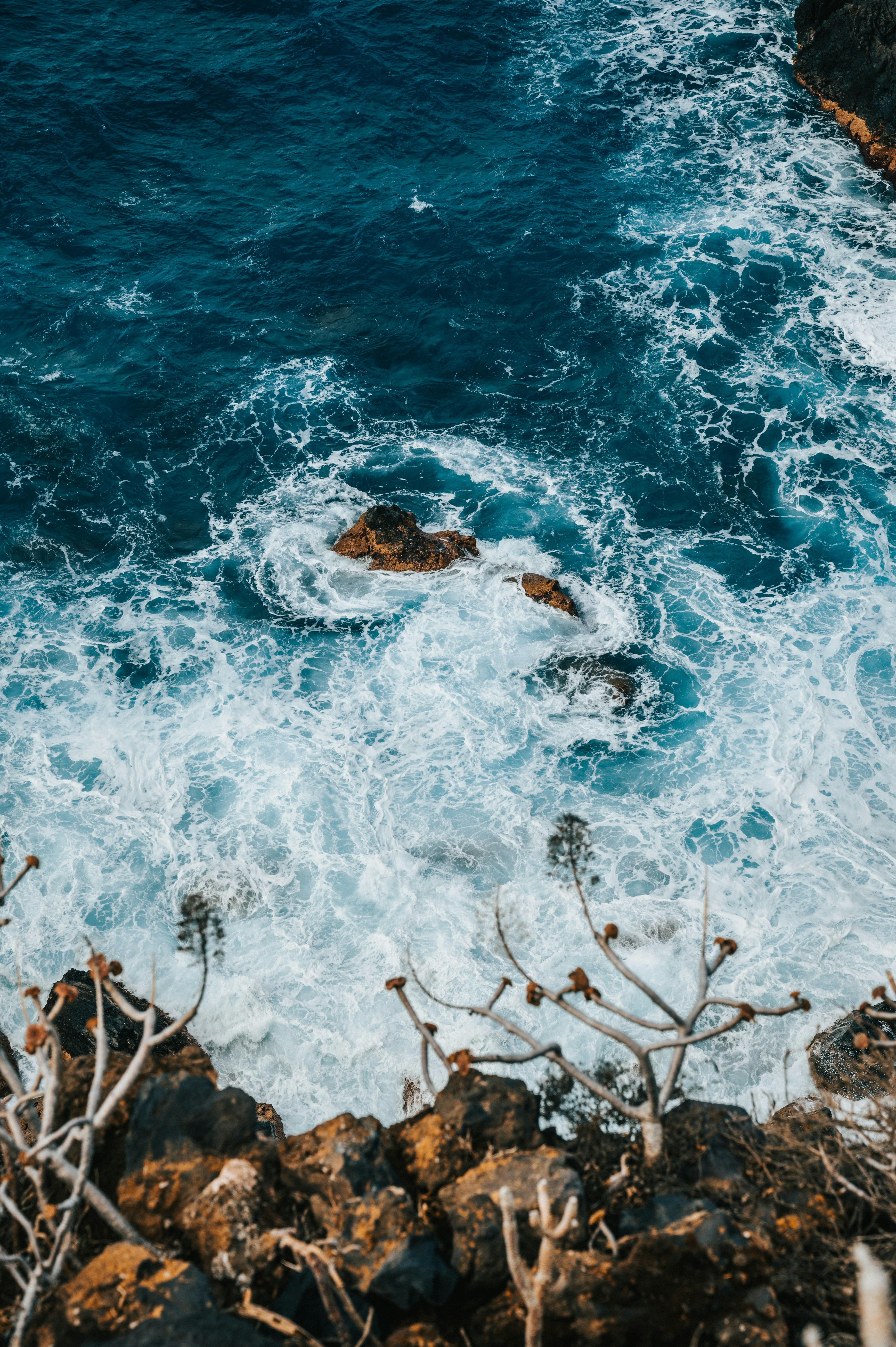 Photo by tamas_tuzeskatai