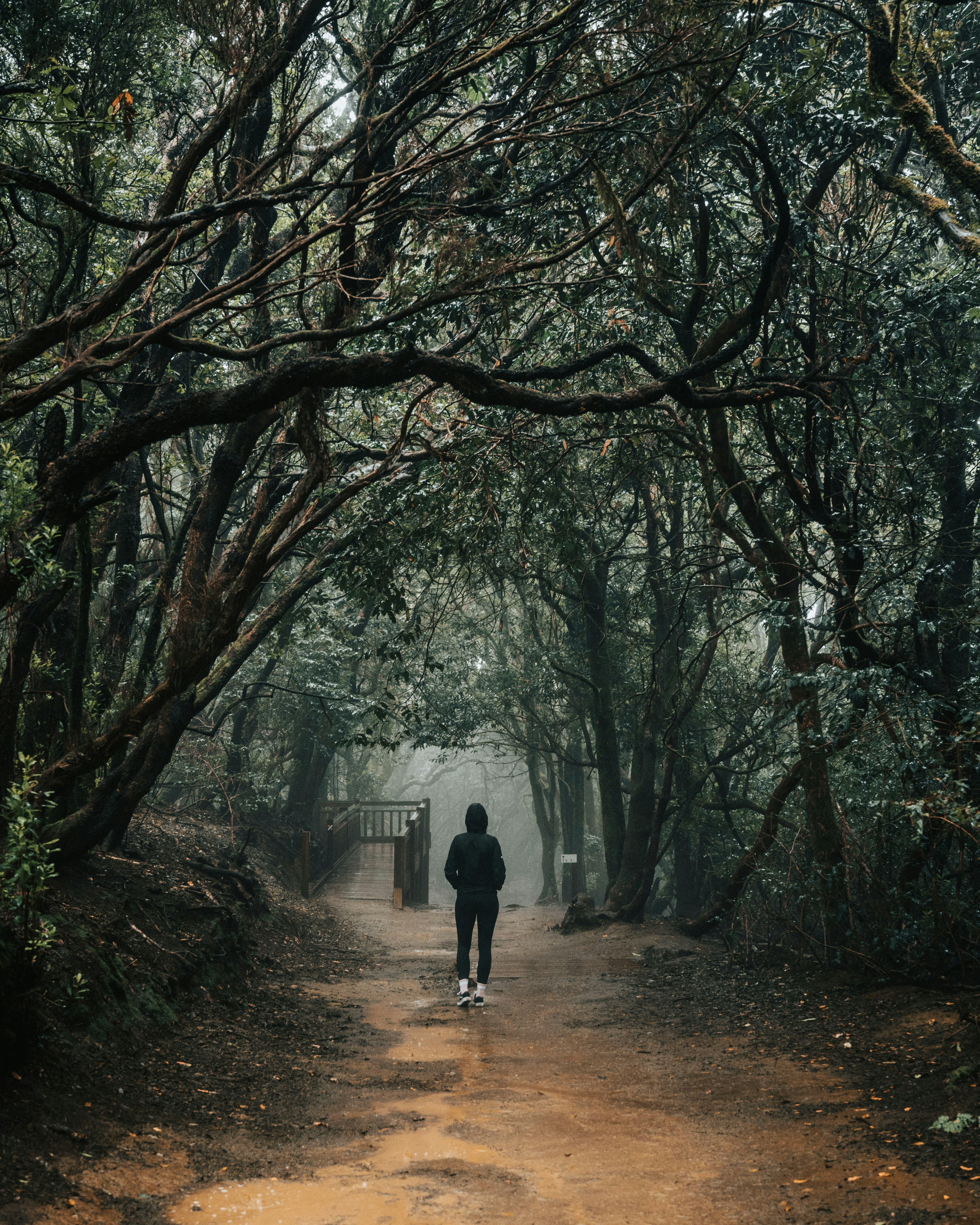 Photo by tamas_tuzeskatai