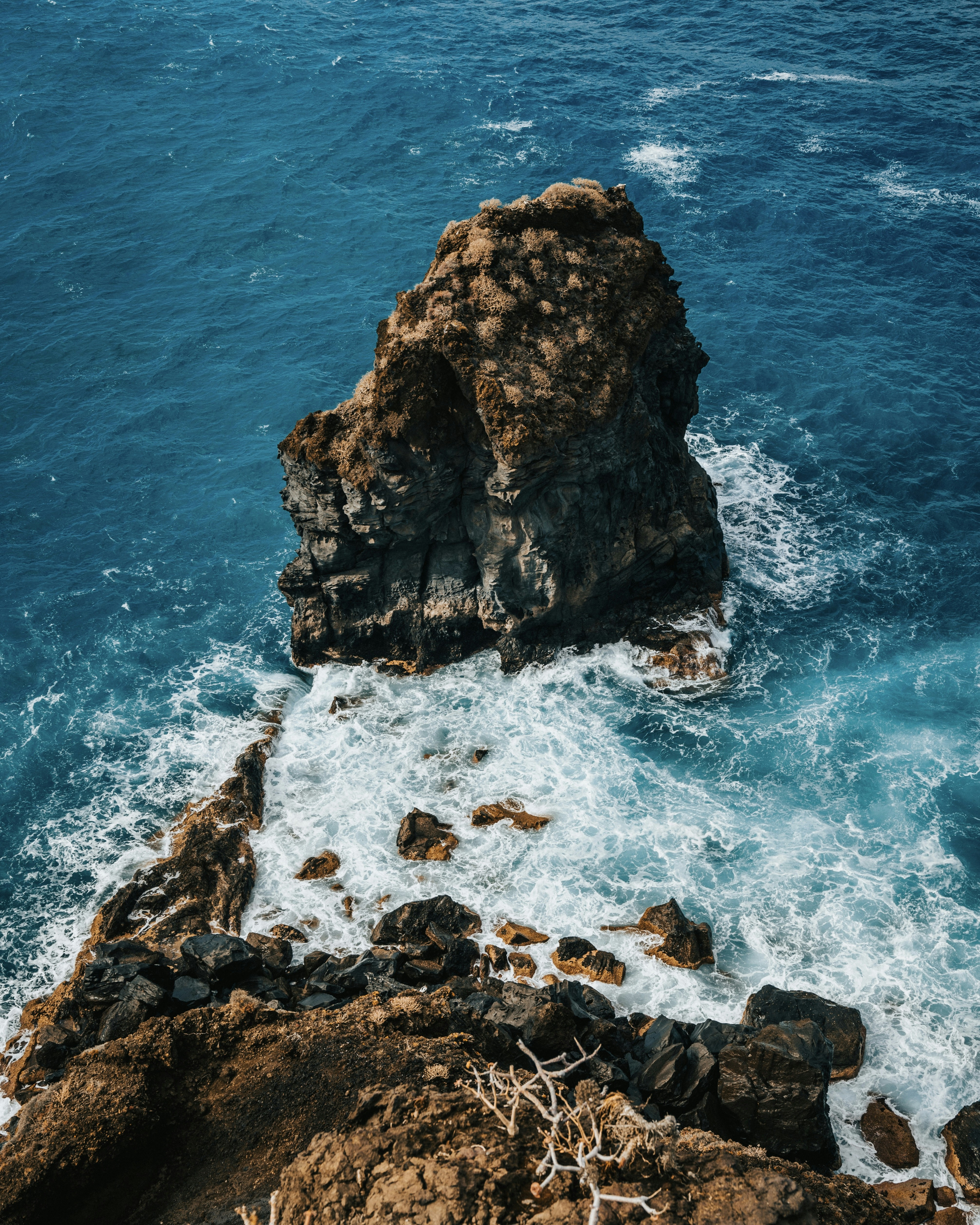 Photo by tamas_tuzeskatai