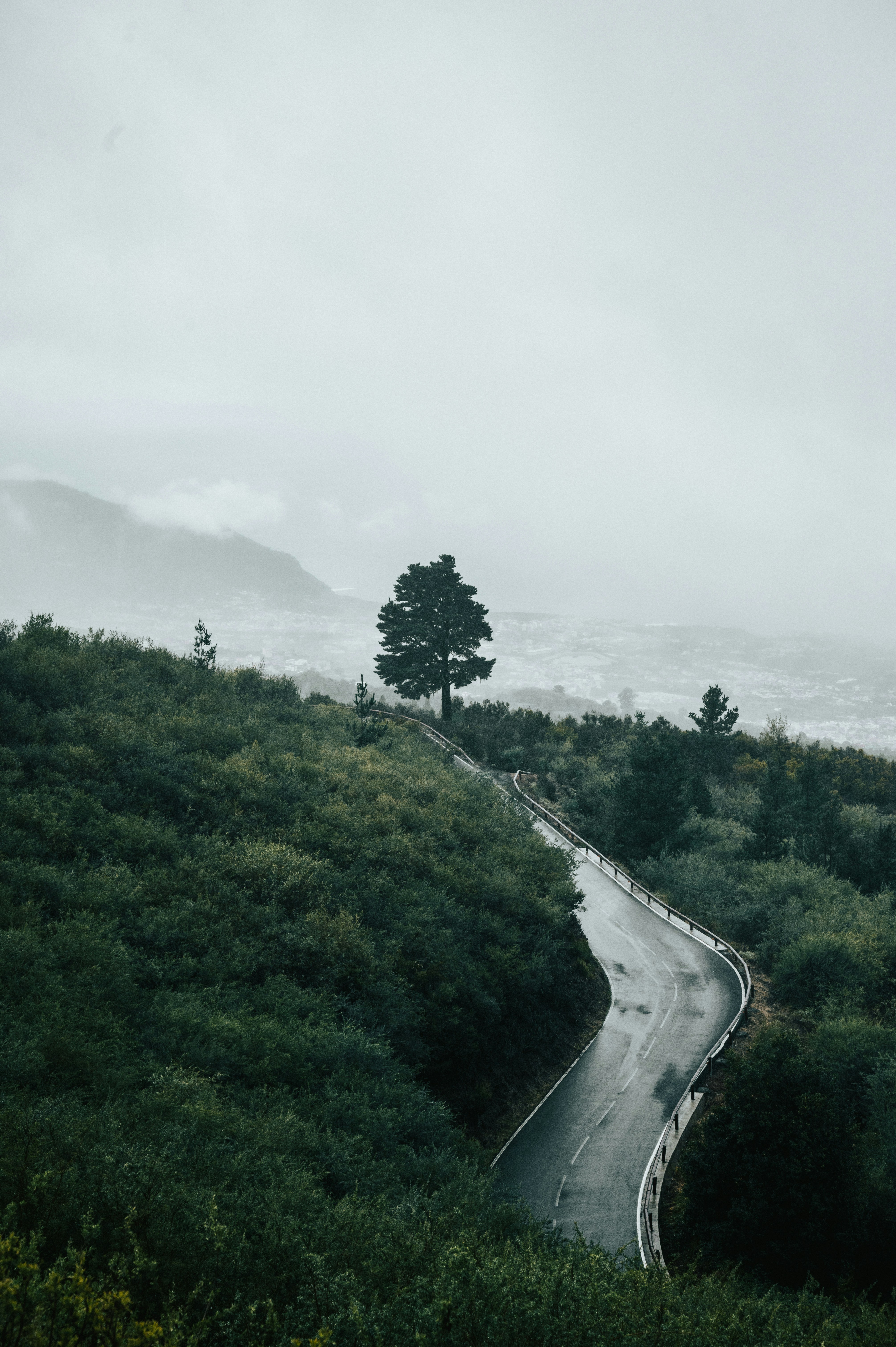 Photo by tamas_tuzeskatai