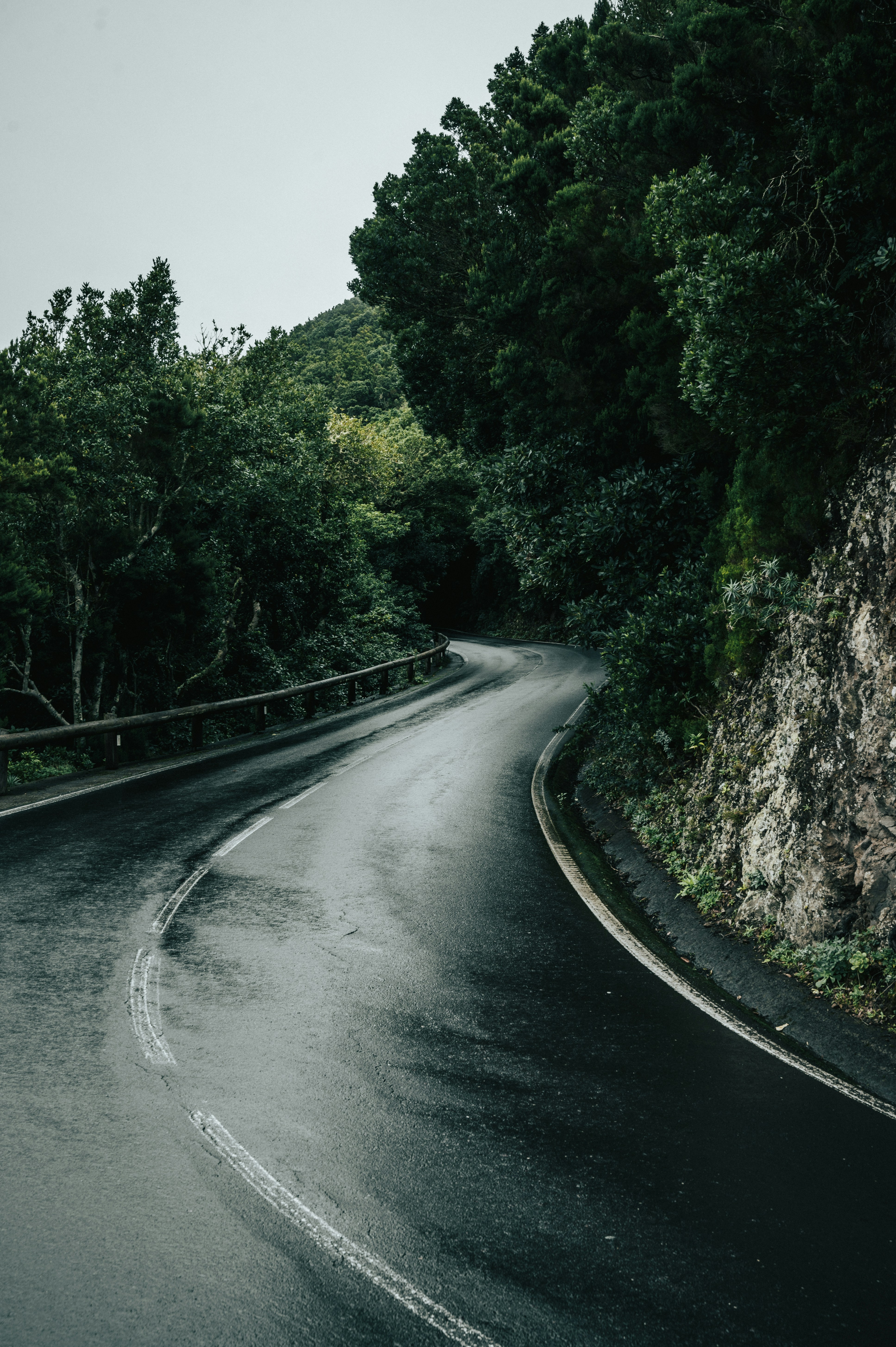 Photo by tamas_tuzeskatai