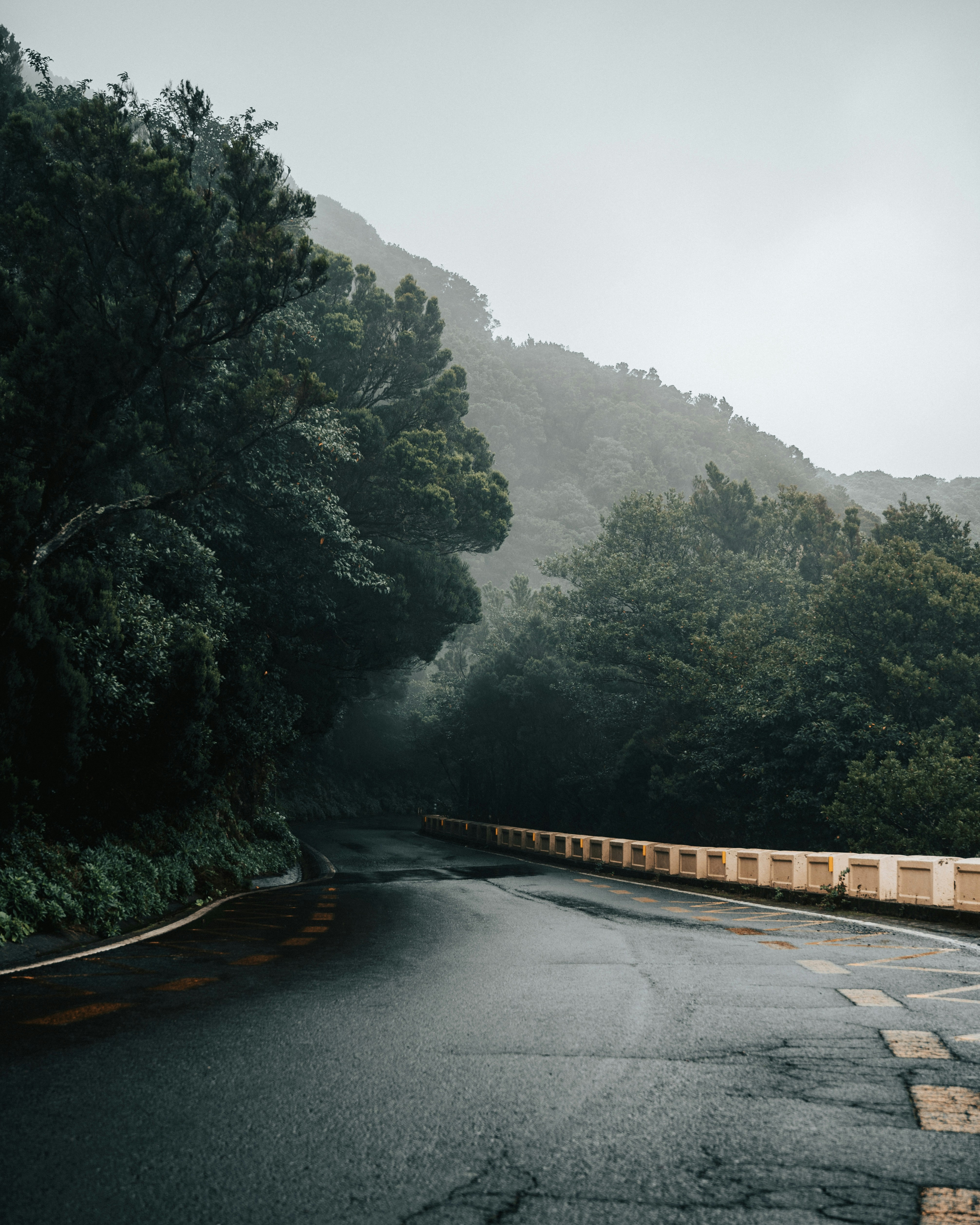 Photo by tamas_tuzeskatai