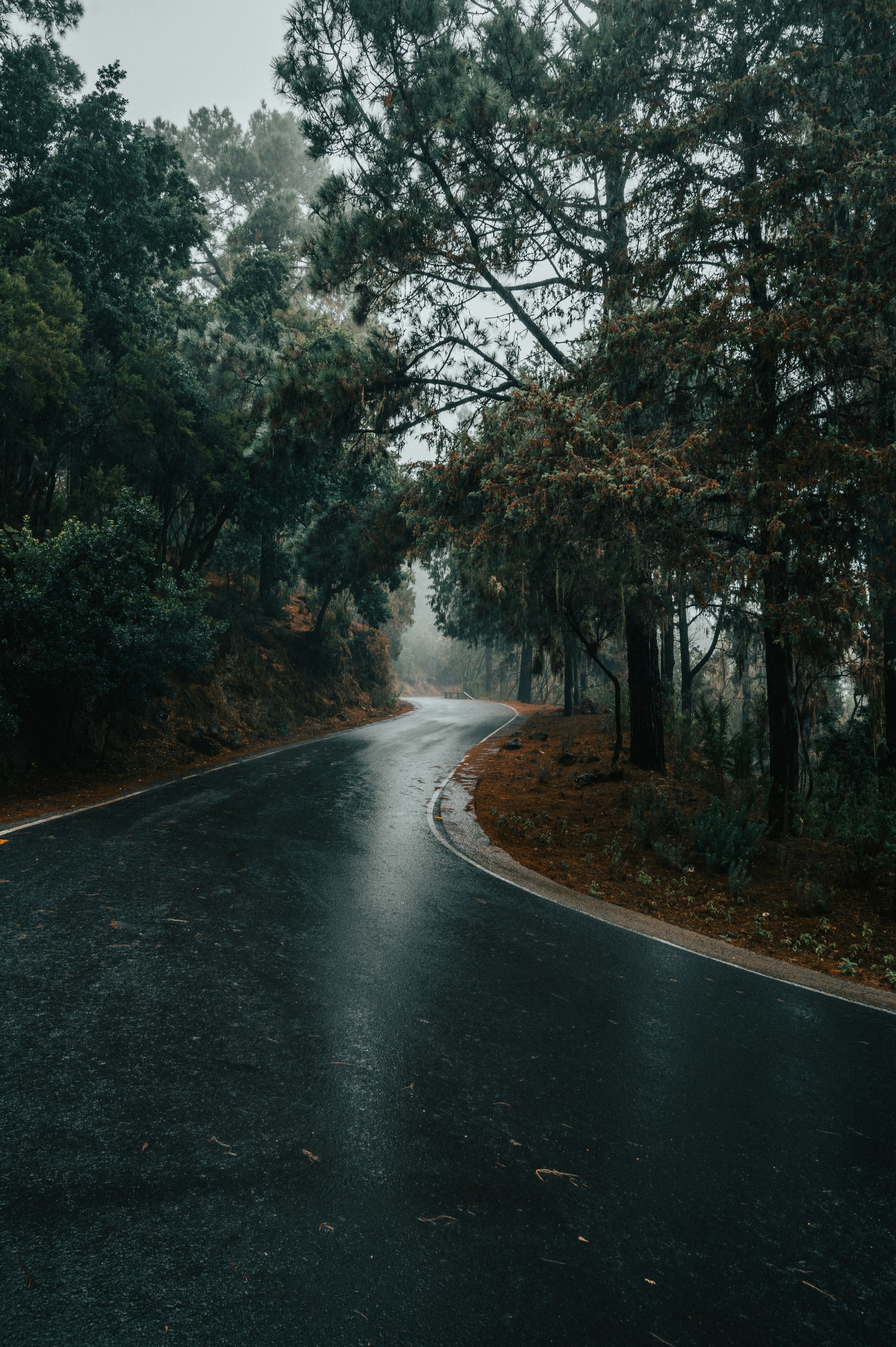 Photo by tamas_tuzeskatai