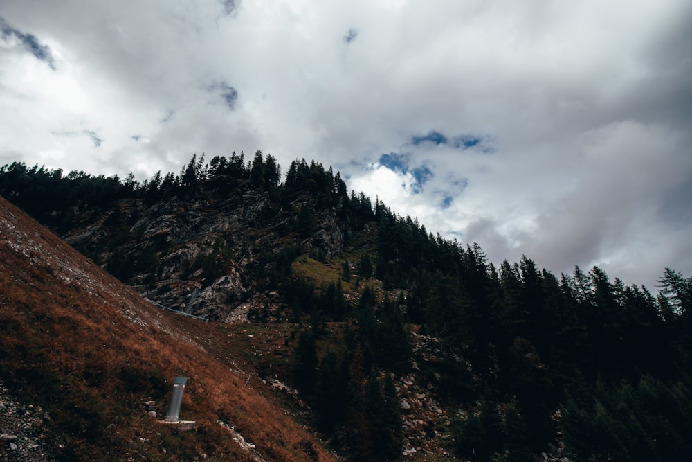 a mountain side with trees and clouds in the background