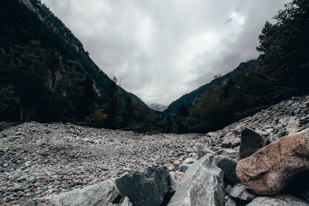 a rocky area with rocks and trees in the background