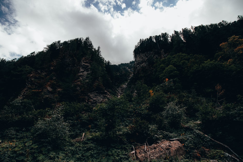 a view of a mountain with trees on the side of it