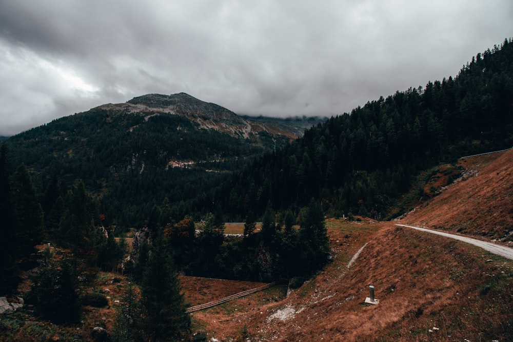 a scenic view of a road in the mountains