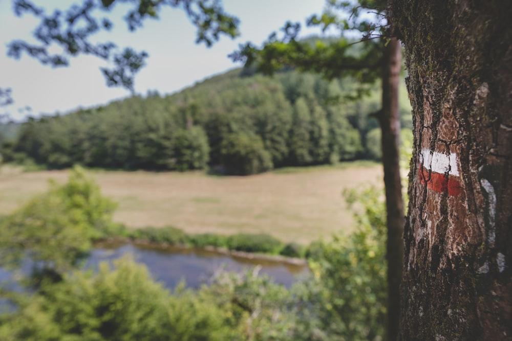 a red and white sign on a tree next to a river