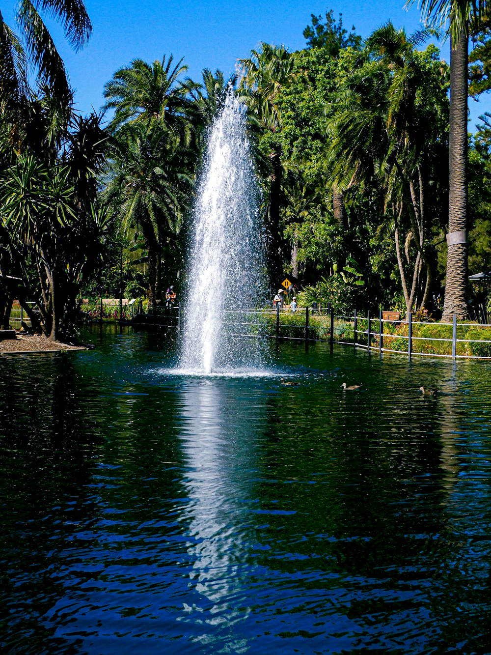 a large fountain spewing water into a pond surrounded by palm trees