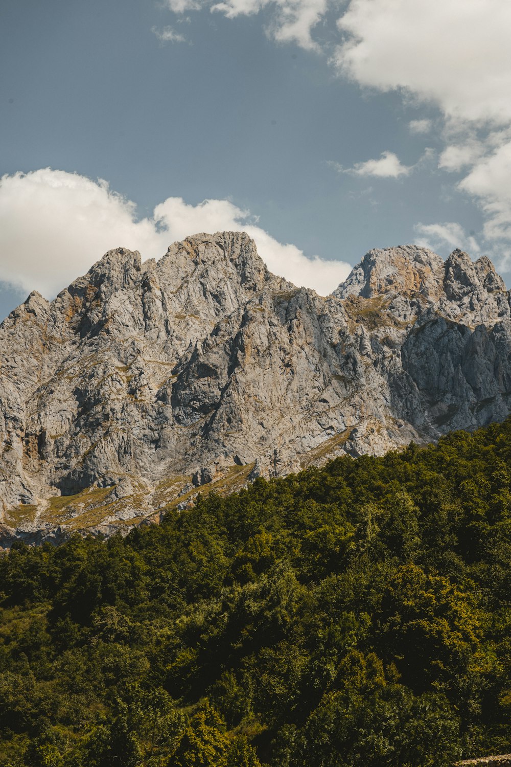 a mountain range with trees and clouds in the background