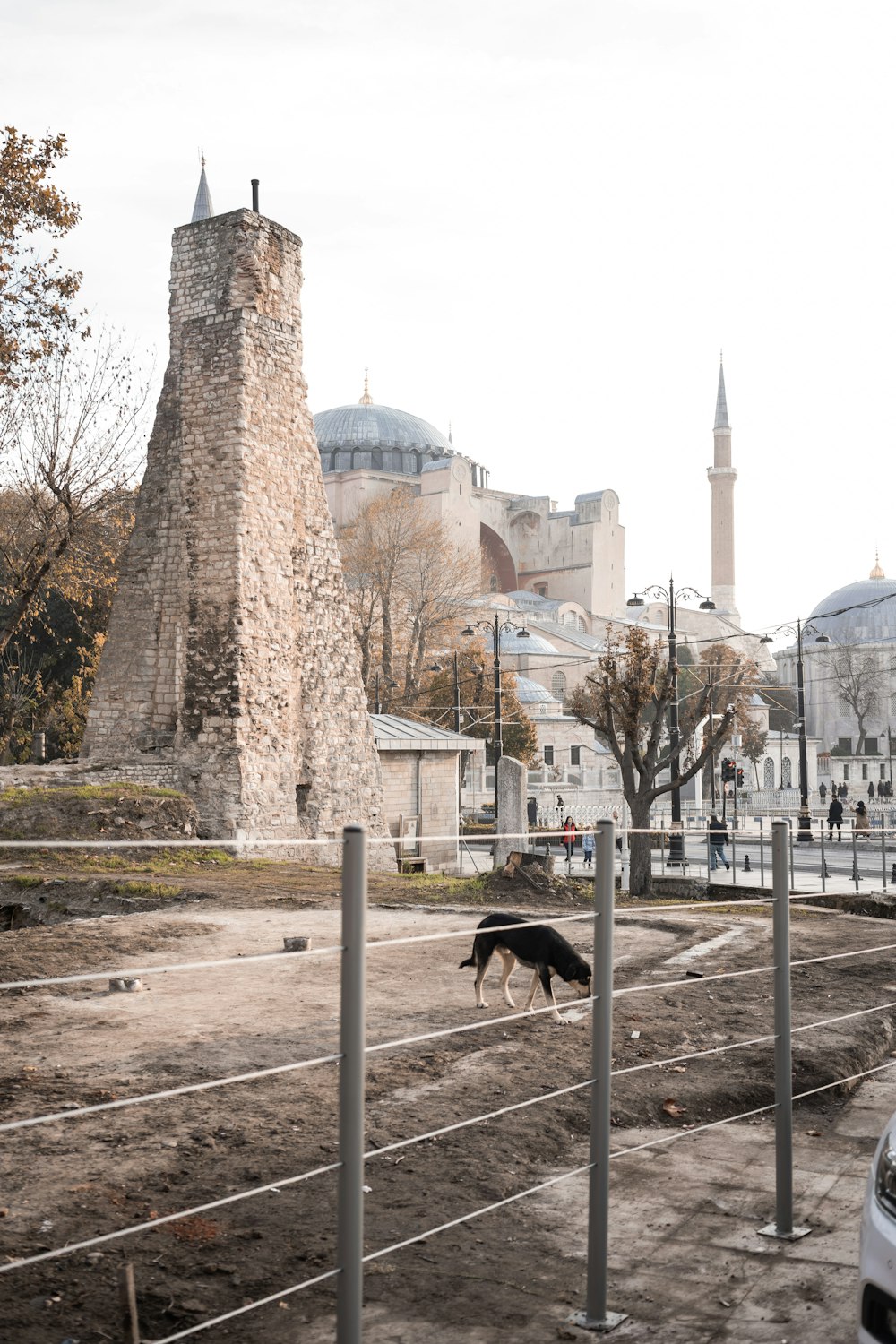 a dog is running around in a fenced in area