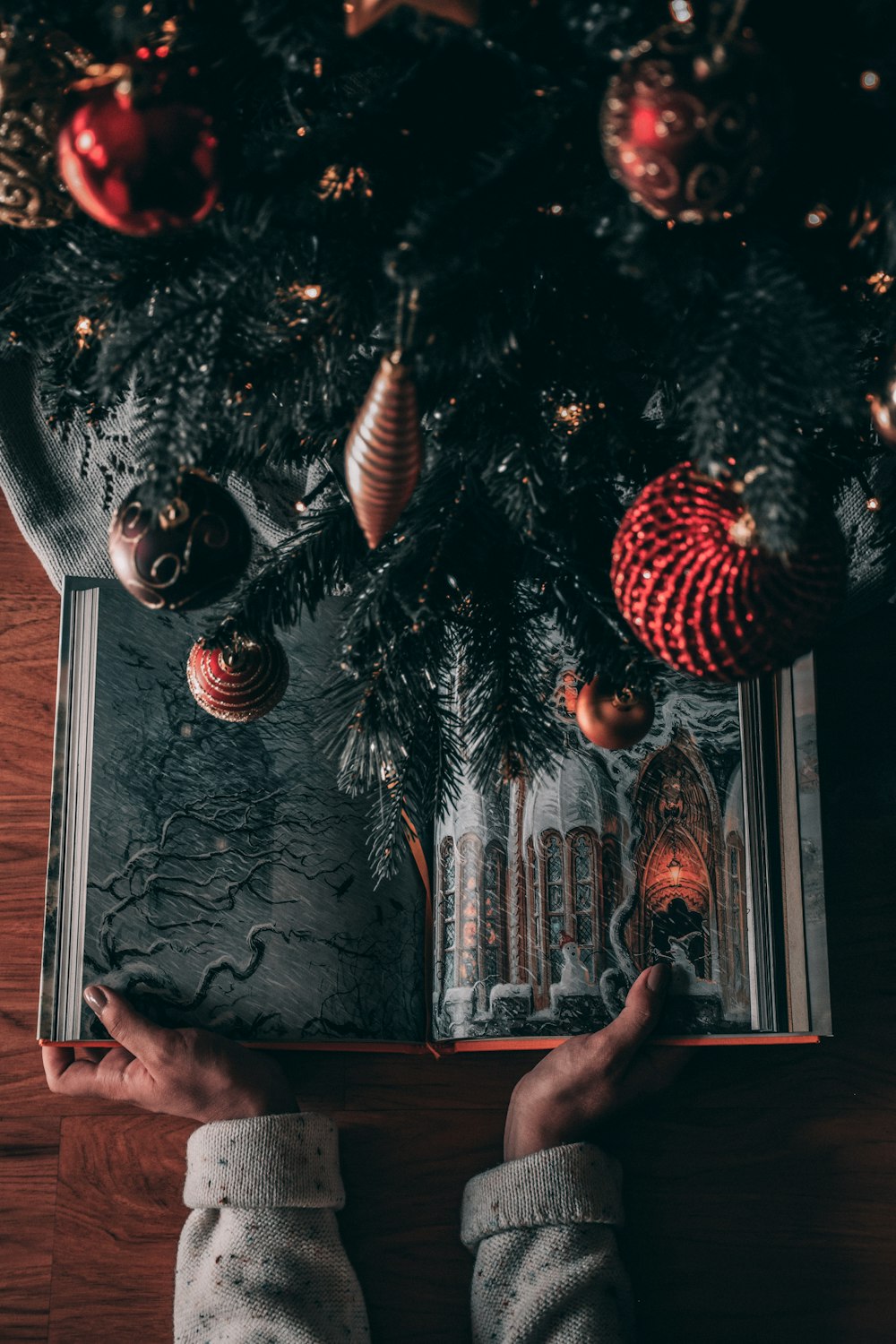 a person holding a book in front of a christmas tree