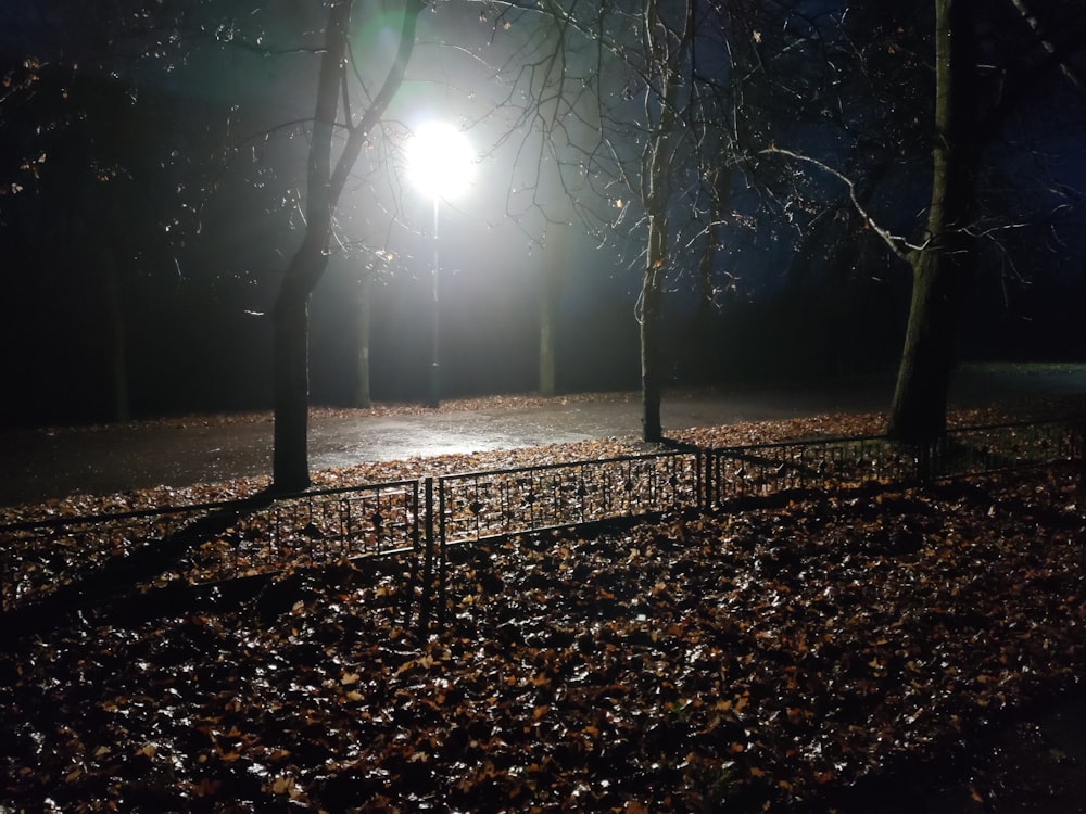 a light shines brightly in a dark park at night