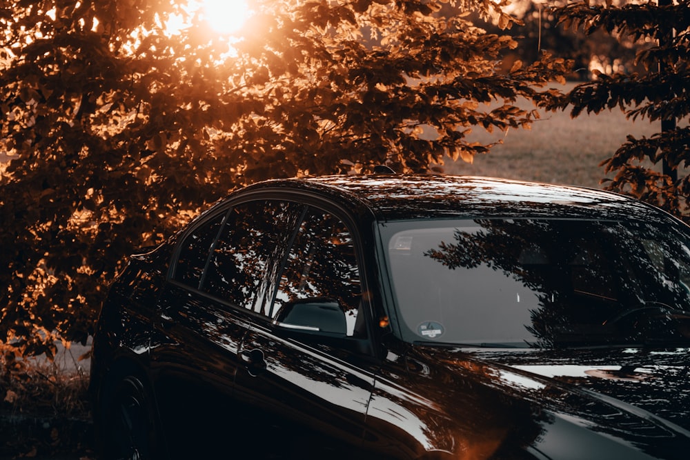 Un coche negro aparcado frente a un árbol