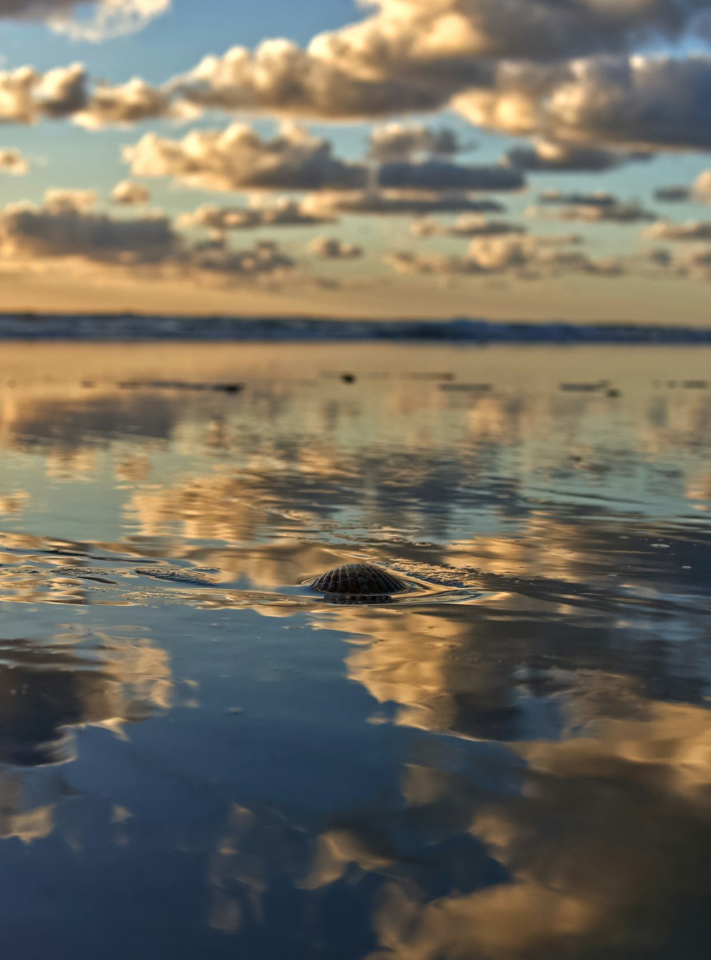 a rock in the middle of a body of water