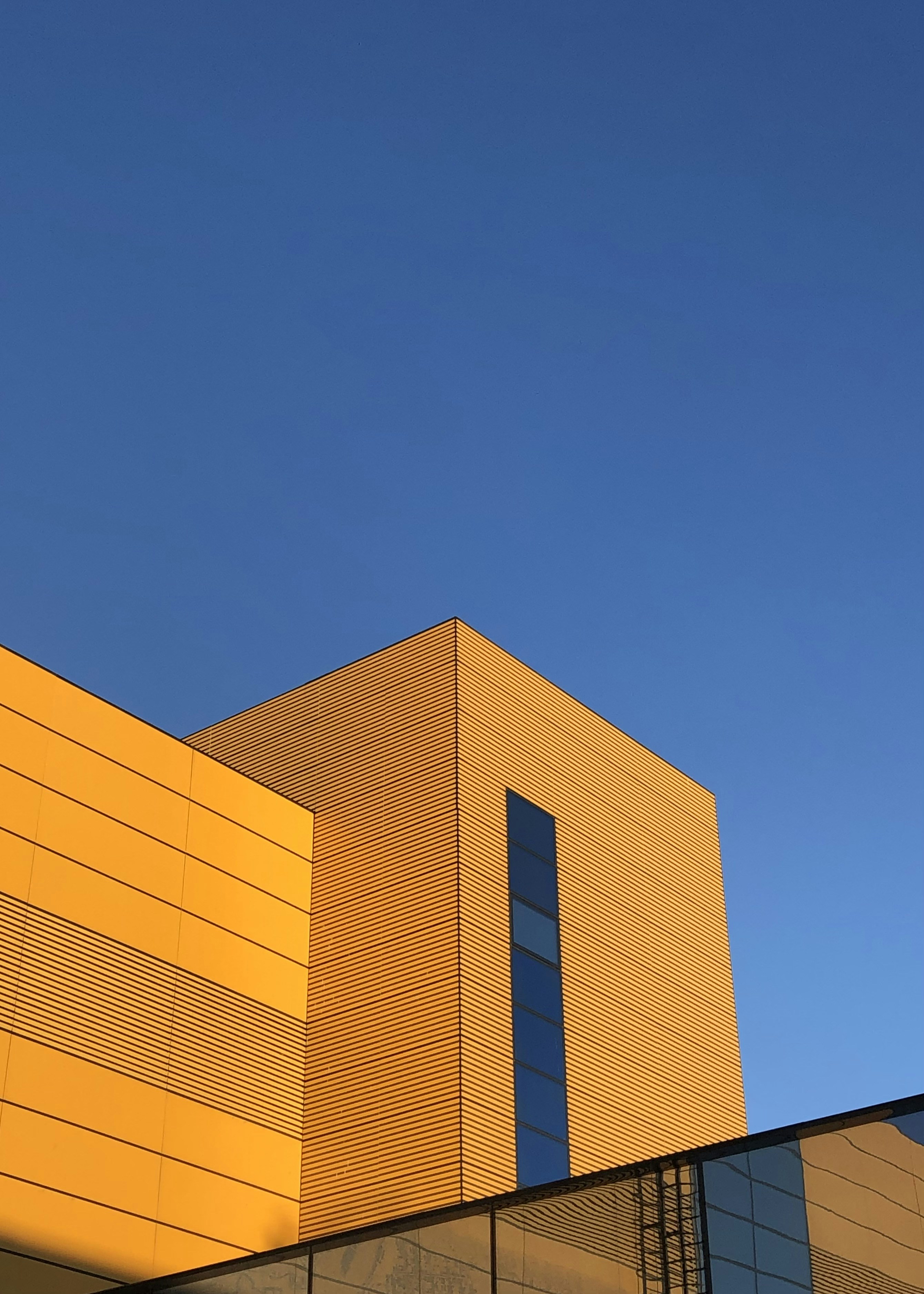 Photo by lizayakunina