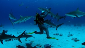 a scuba diver surrounded by sharks in the ocean