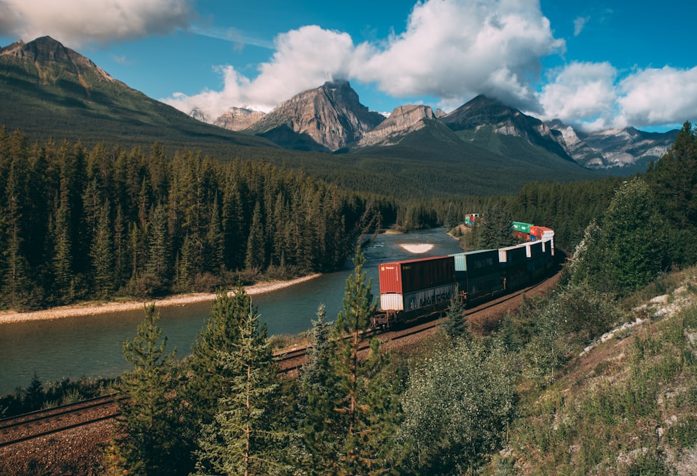 a train traveling through a lush green forest