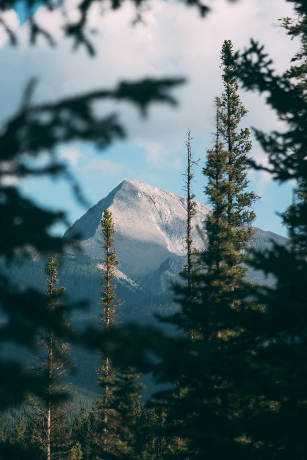 a view of a mountain through some trees