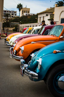 A group of colorful Beetles lined up at a nostalgic car meet in a park