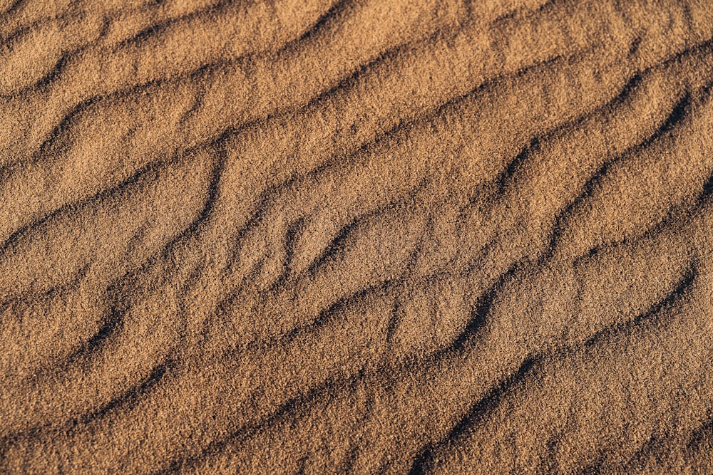 Un primer plano de una duna de arena con líneas onduladas