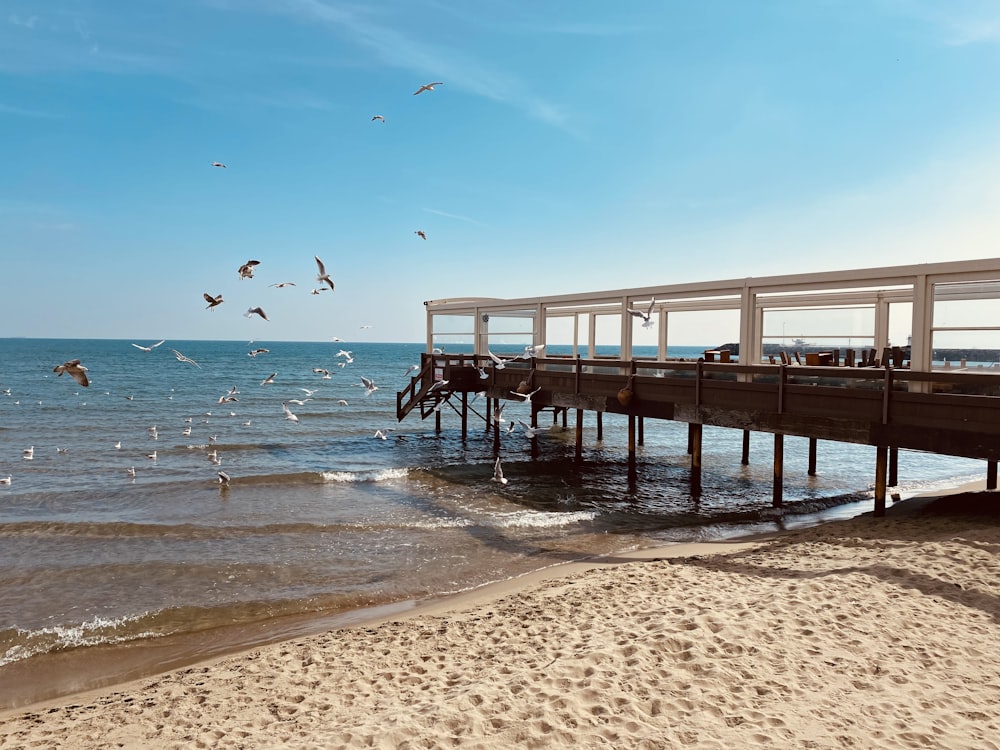 a pier on the beach with seagulls flying around