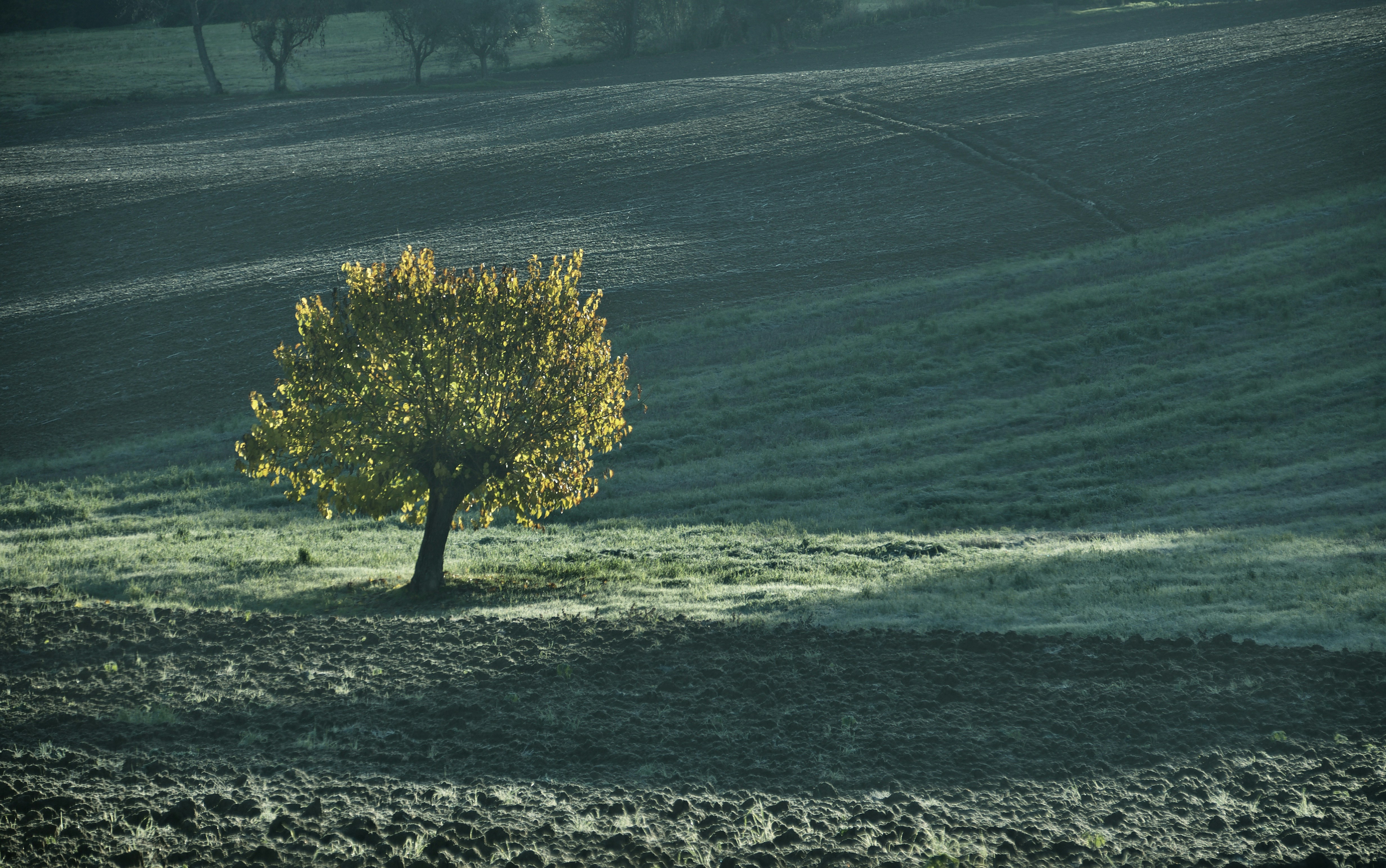 Photo by mariobeducci