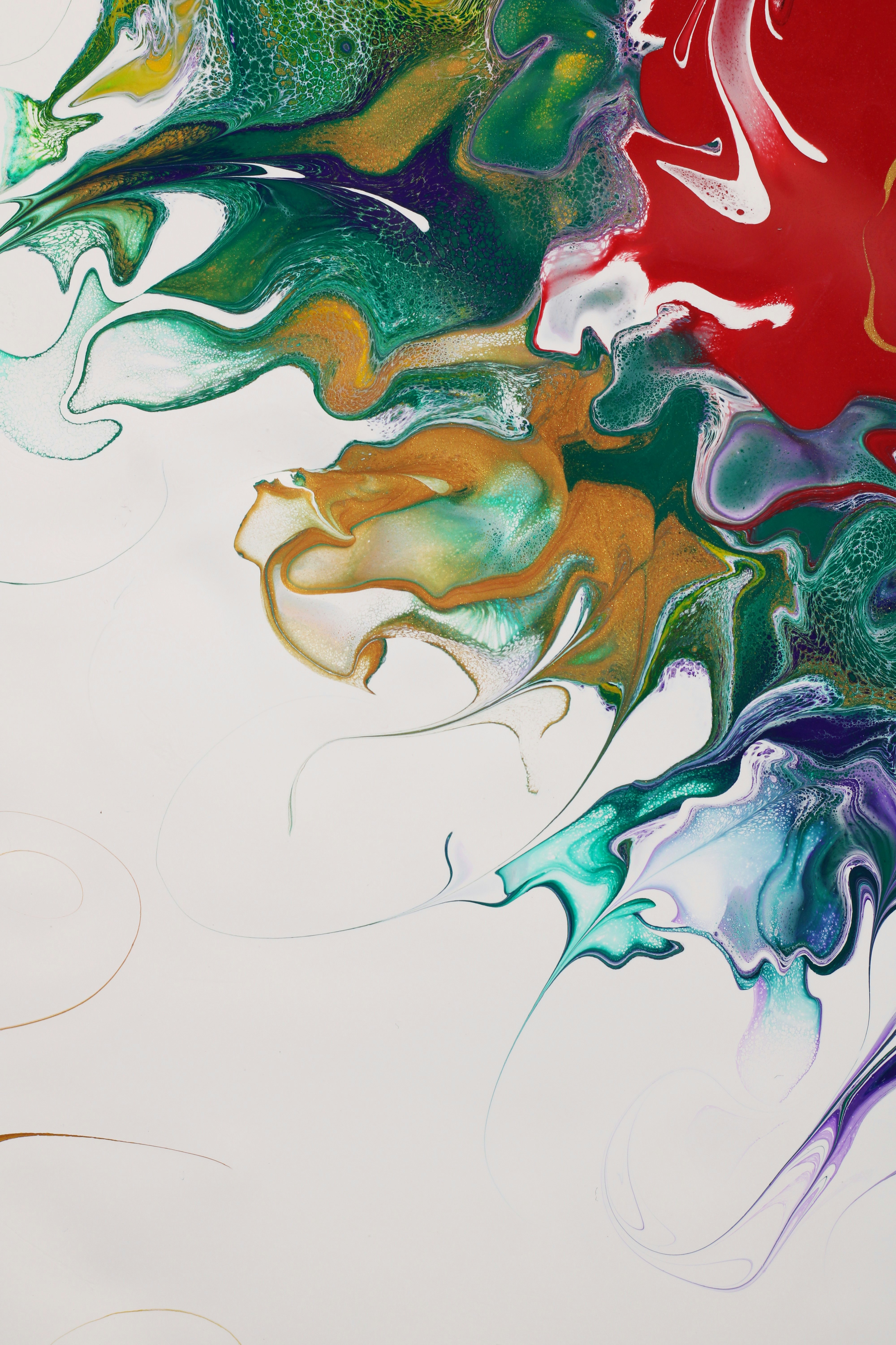 Photo by susan_wilkinson