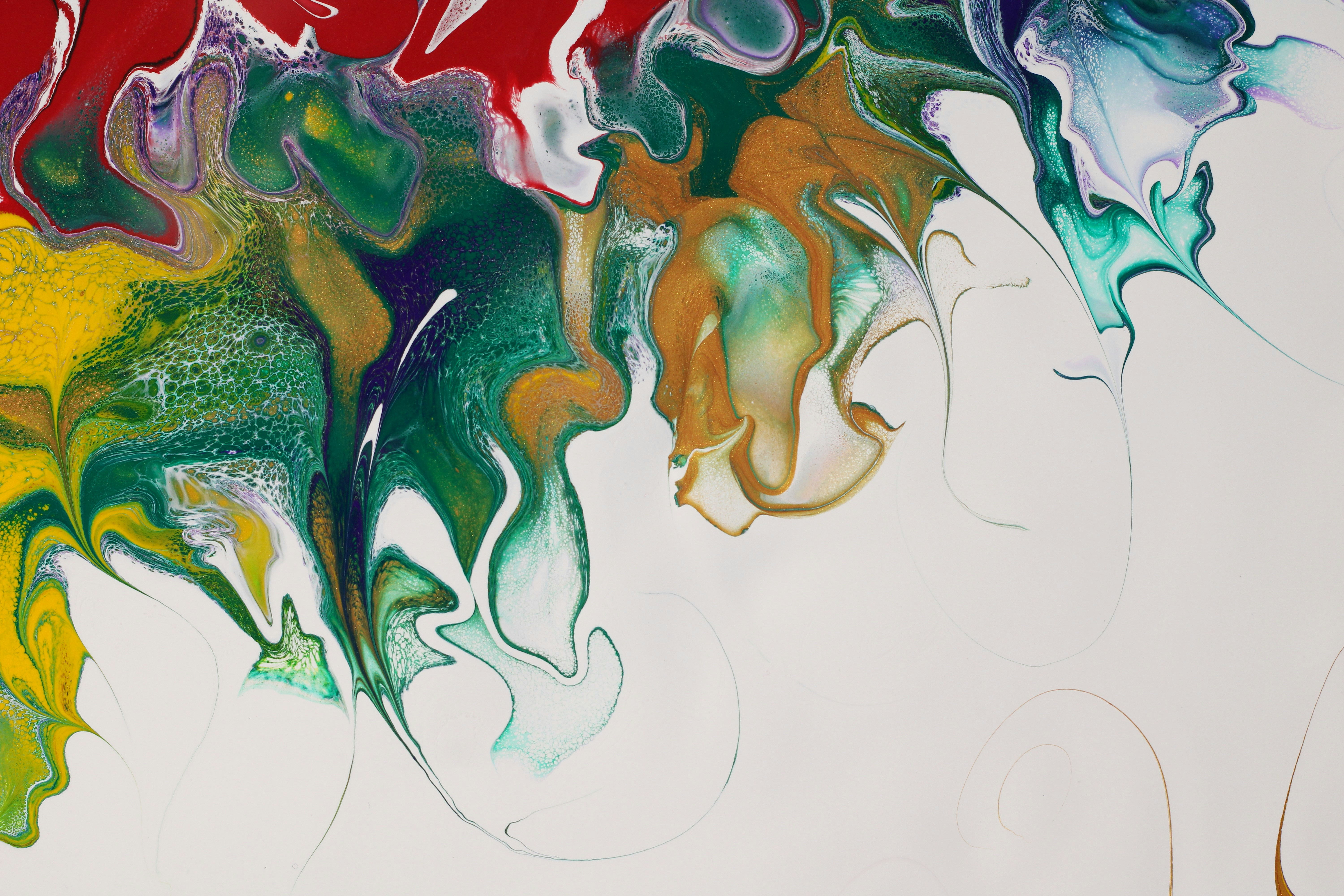 Photo by susan_wilkinson