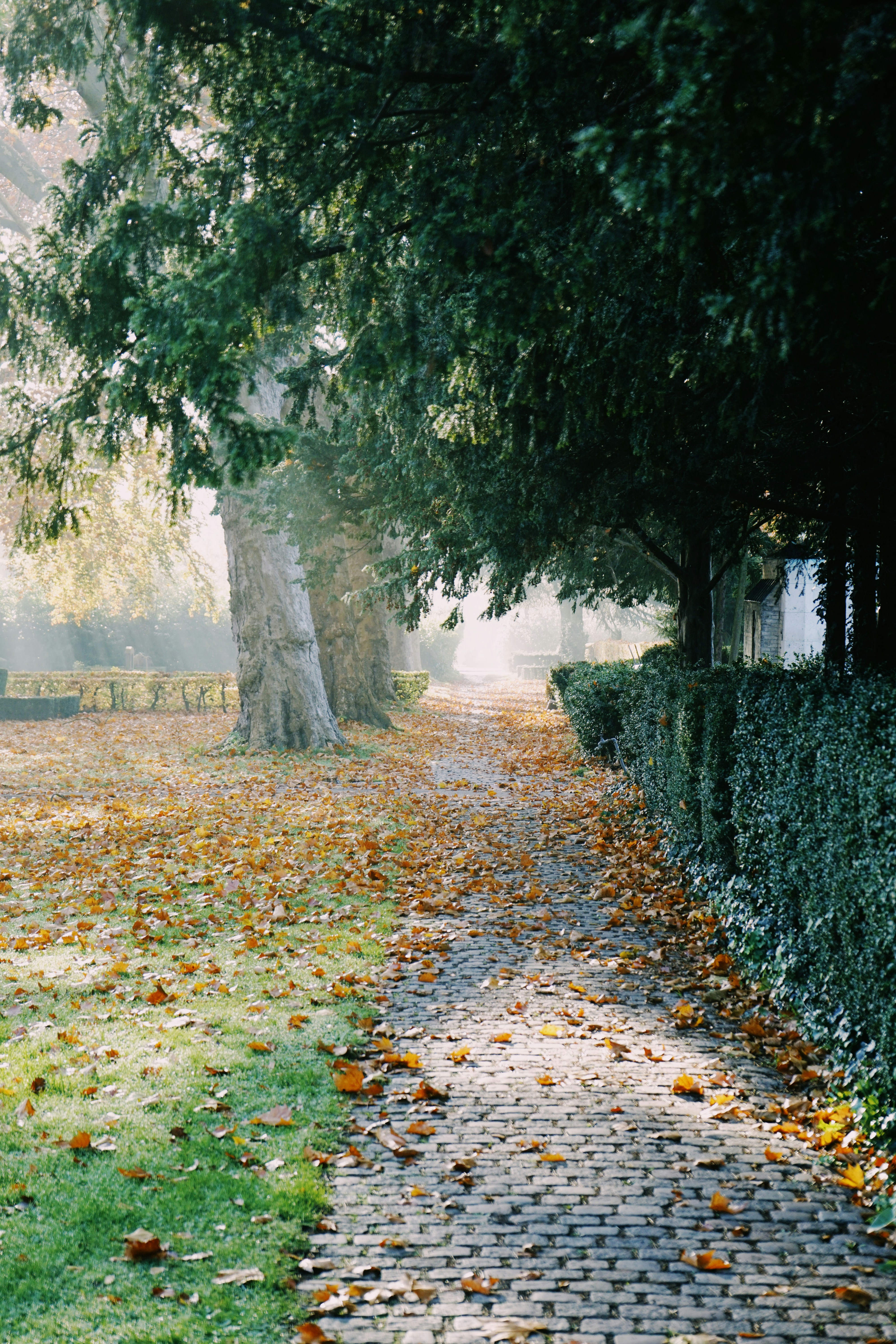 Photo by nikolajpeter