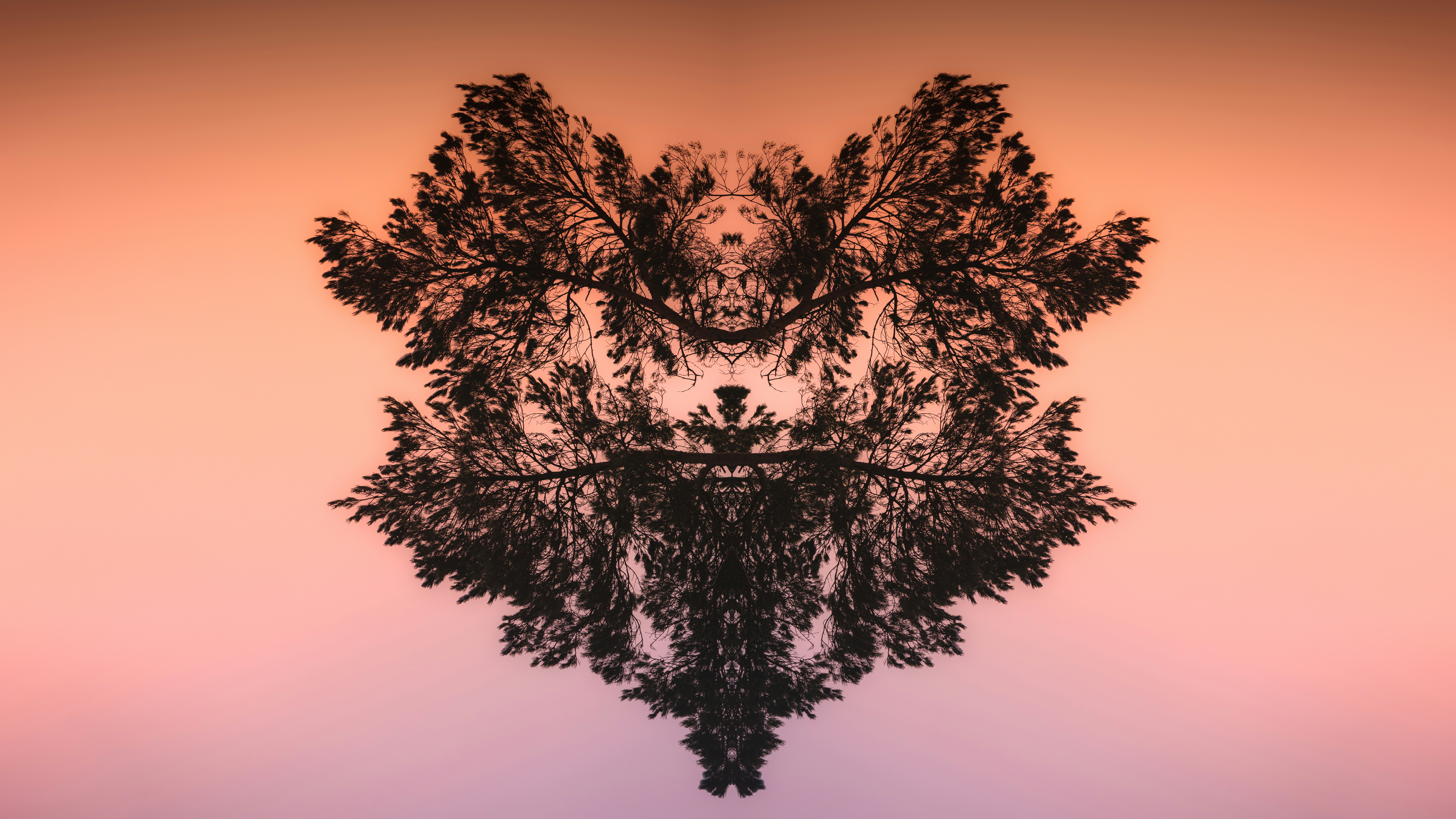 Using Performance Data to Teach Experimental Design: A Sports-to-Science Unit