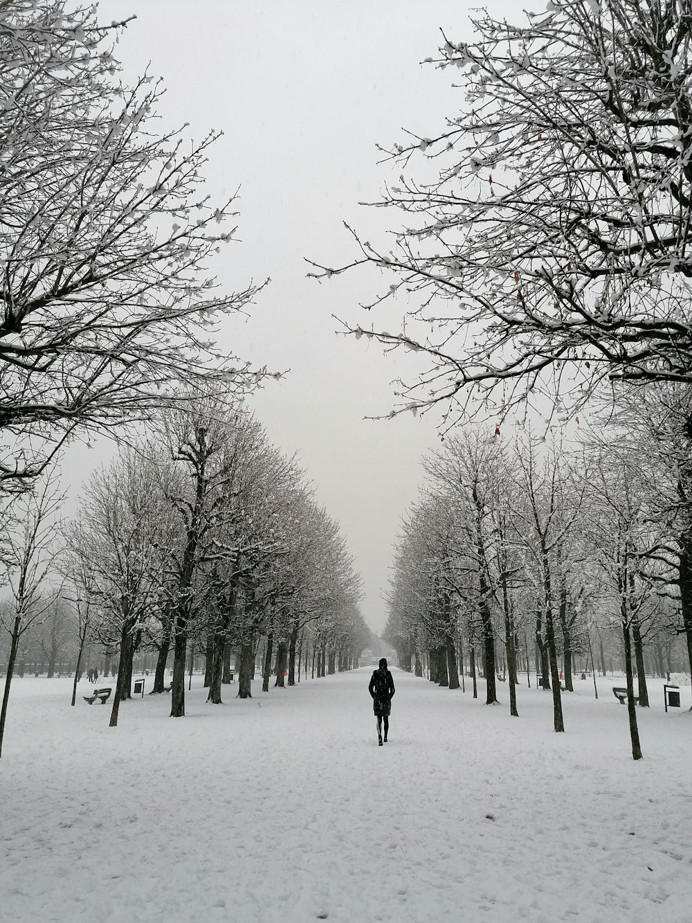 a person walking down a snow covered path