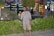 A smiling customer standing in front of a Greendeer Ventures project.