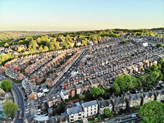 Aerial view of a residential neighborhood featuring rows of terraced houses with brick facades. The houses are surrounded by lush green trees, and a road runs through the foreground. The landscape stretches out to include more trees and hills in the background under a clear blue sky.