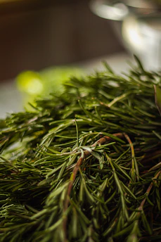 Close-up of rosemary sprigs with dewdrops glistening in soft morning light, evoking freshness and natural beauty.
